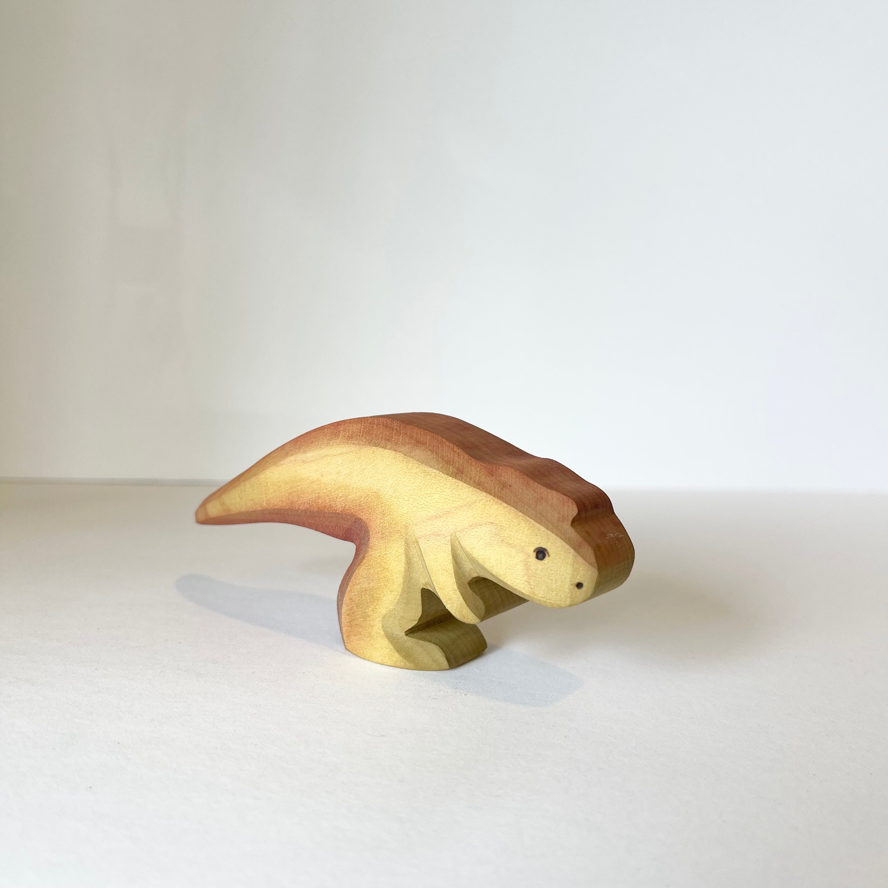 Tyrannosaurus Rex Baby