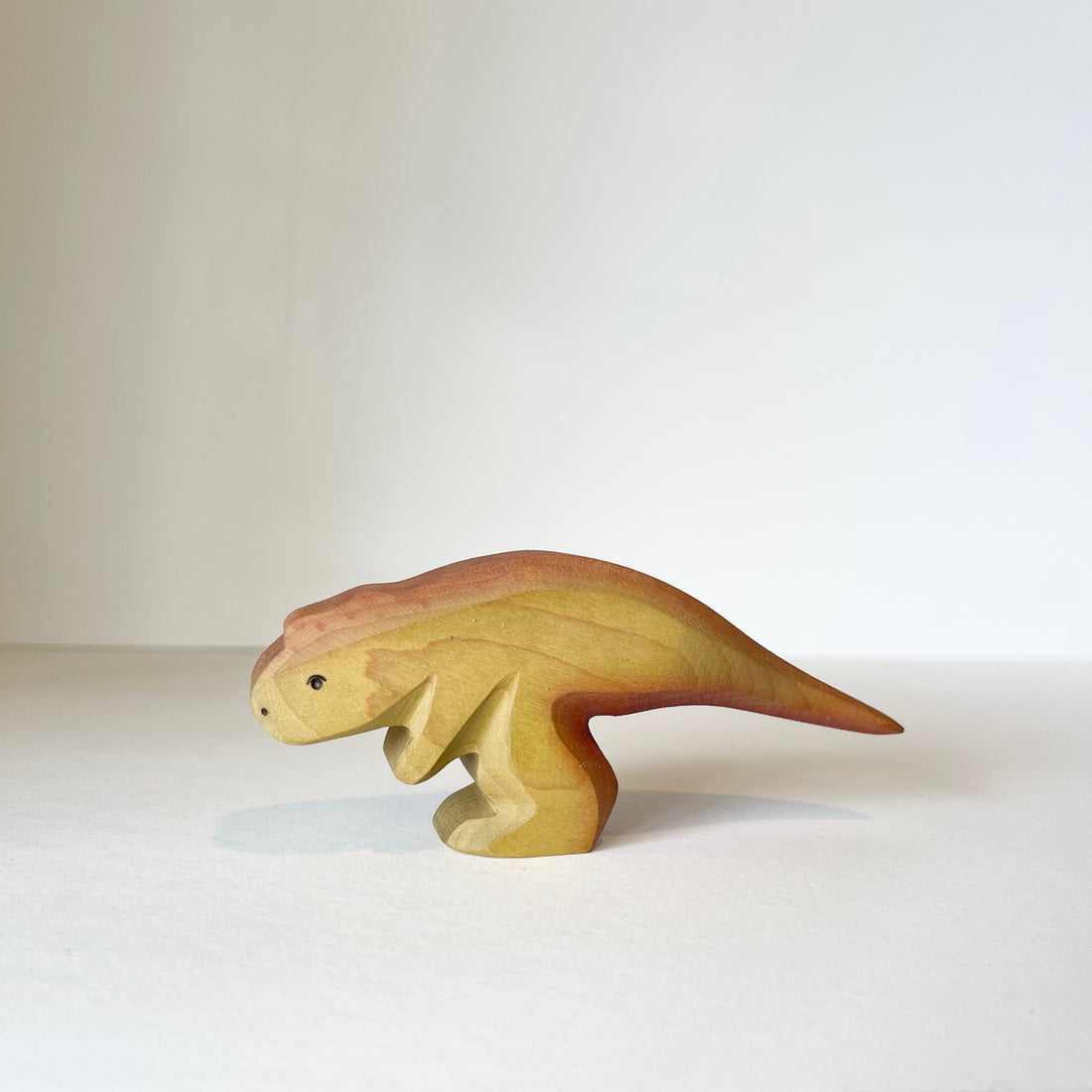 Tyrannosaurus Rex Baby