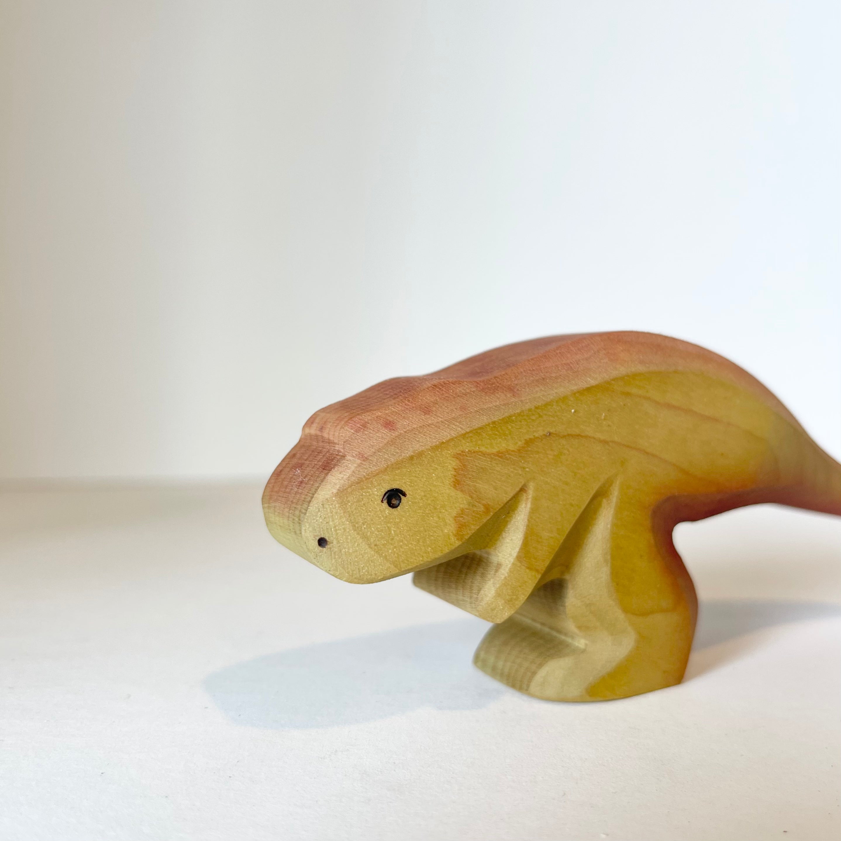 Tyrannosaurus Rex Baby