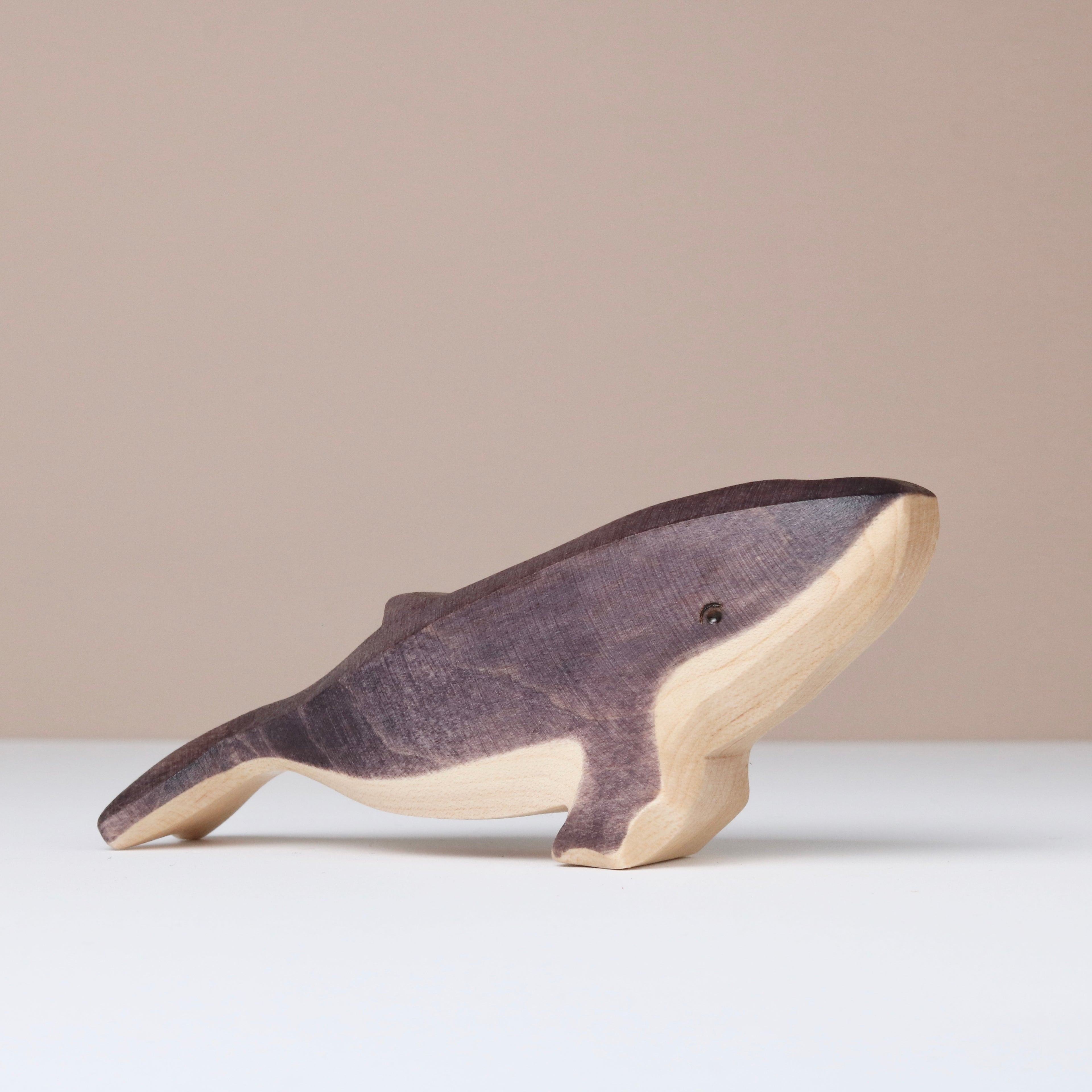 Humpback Whale Baby