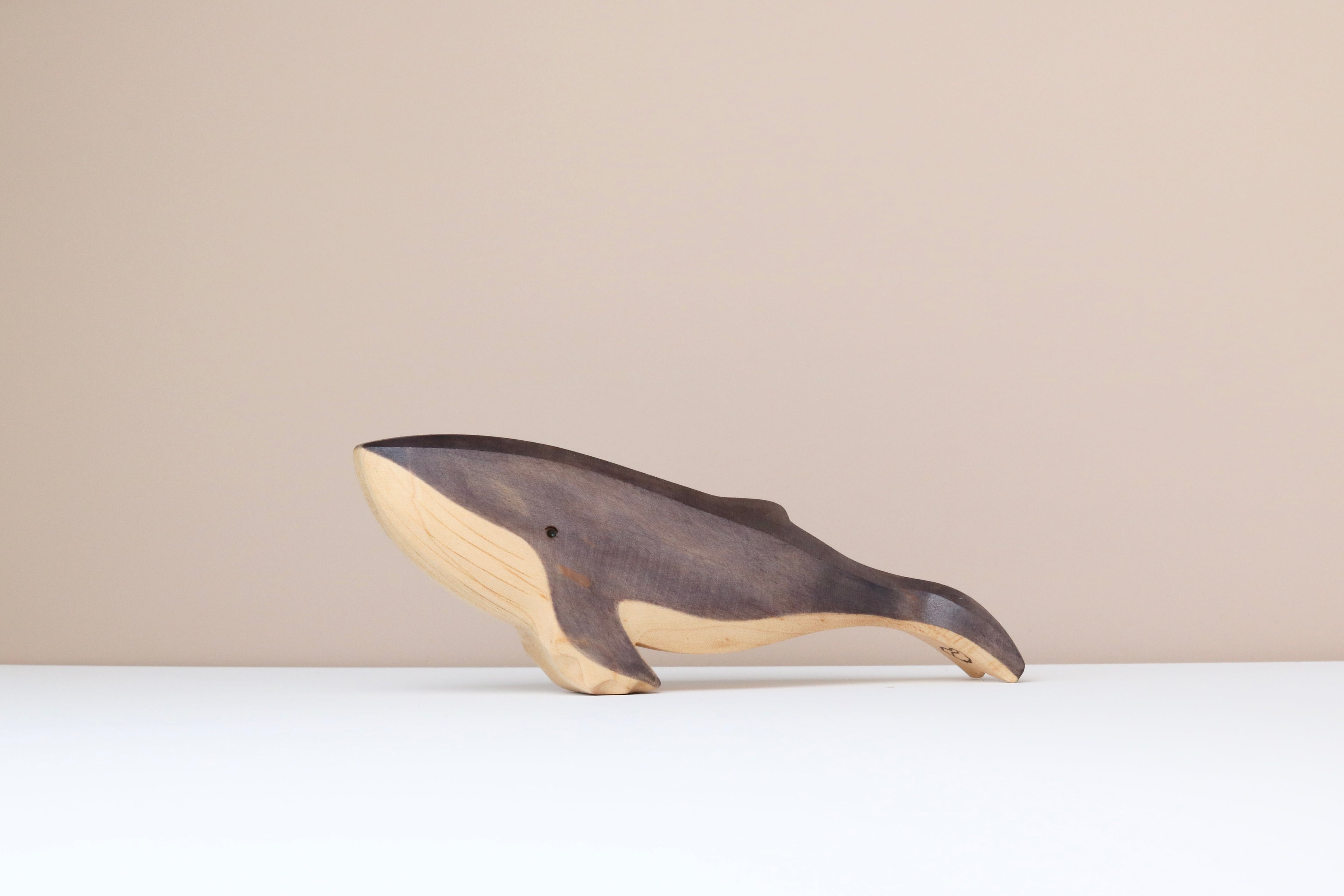 Humpback Whale