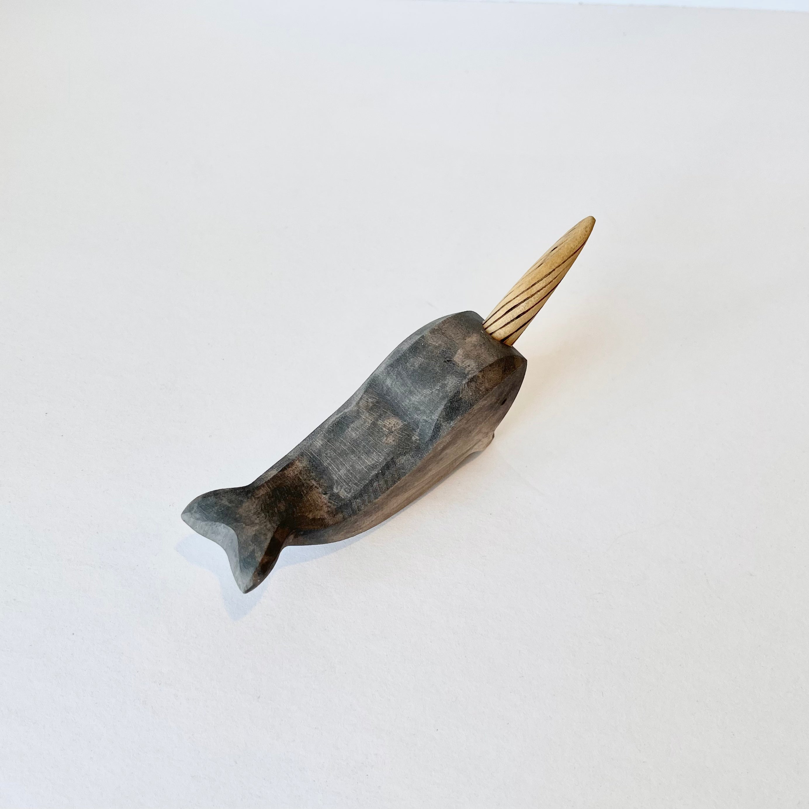 Narwhal Baby