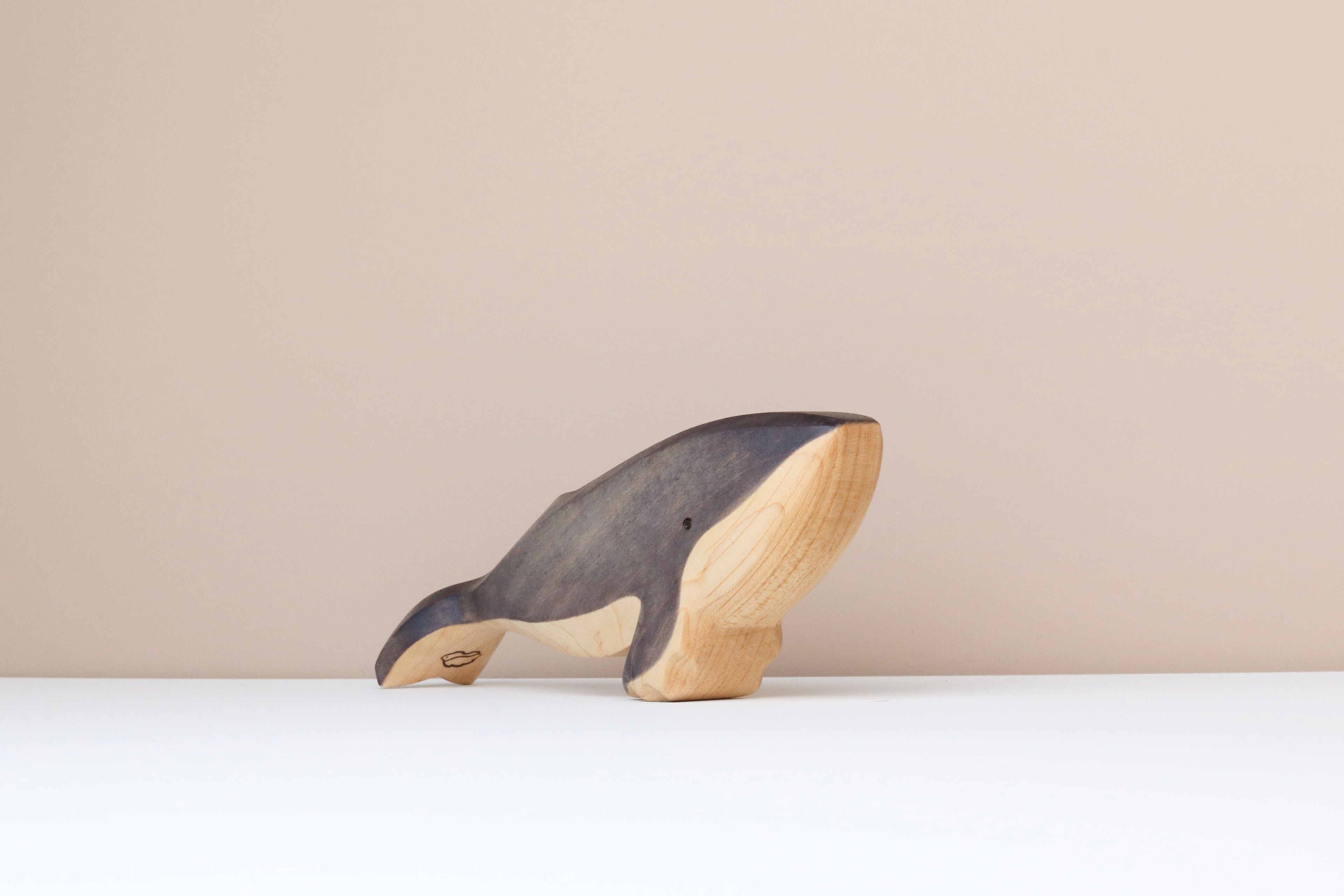 Humpback Whale
