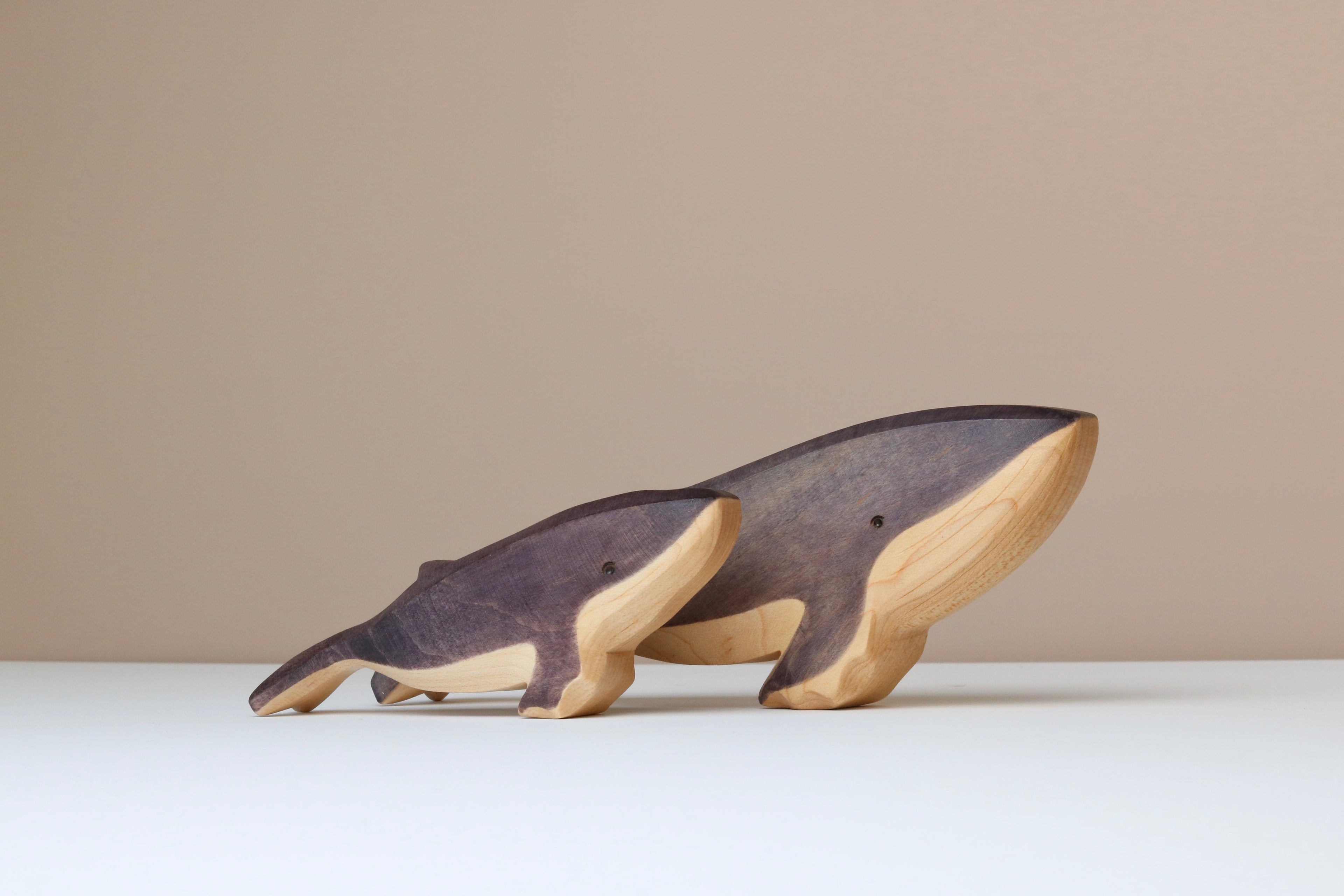 Humpback Whale