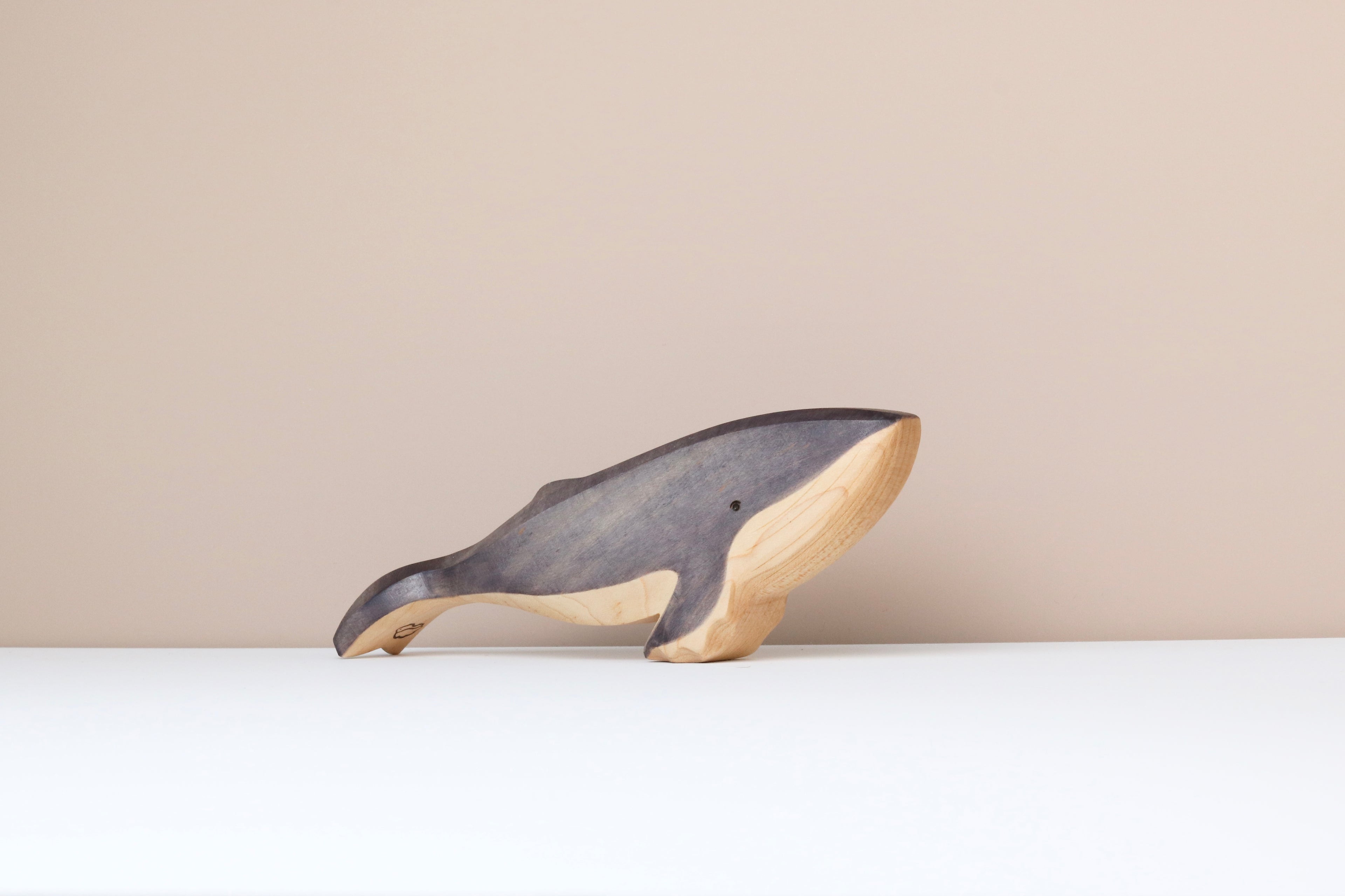 Humpback Whale