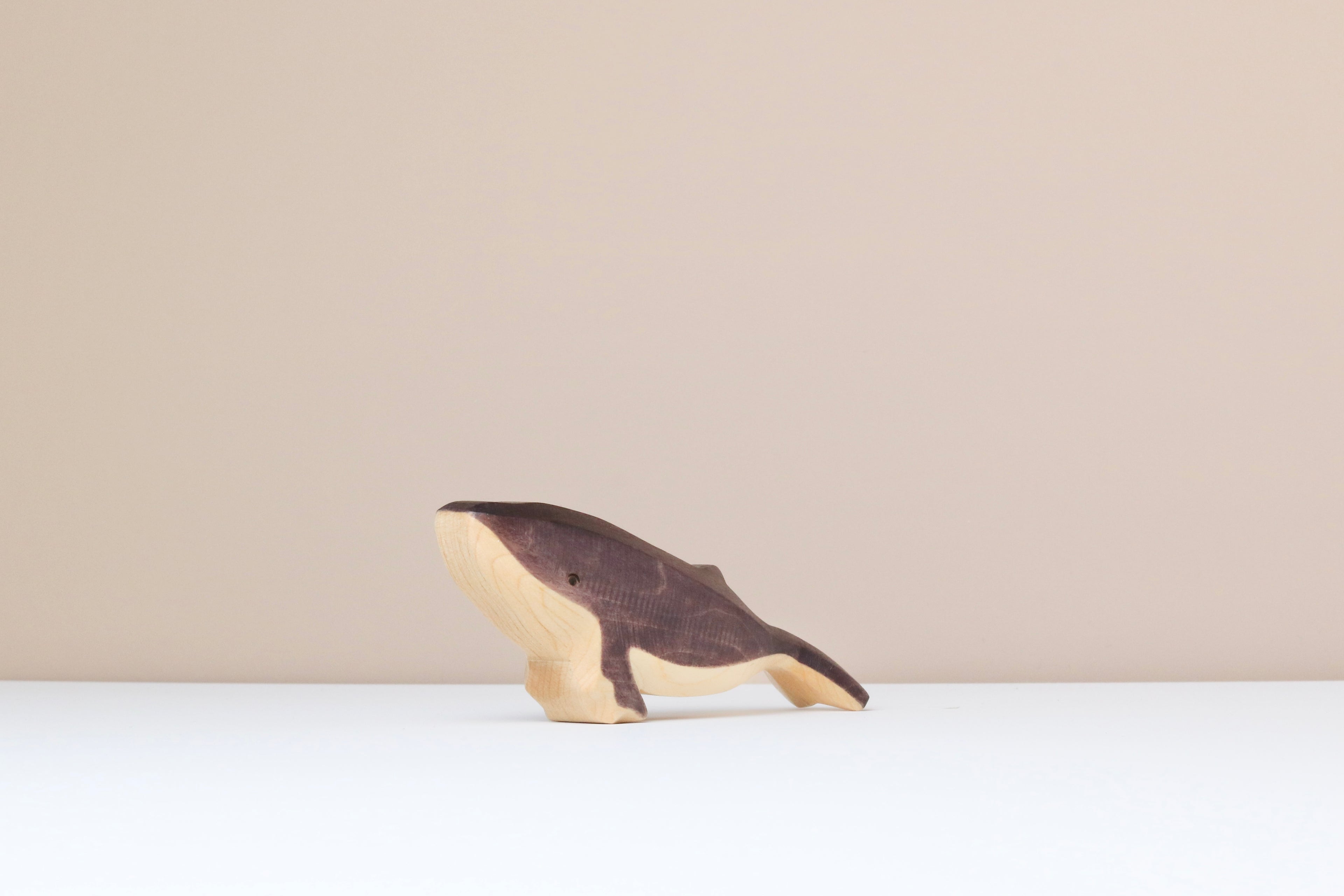 Humpback Whale Baby