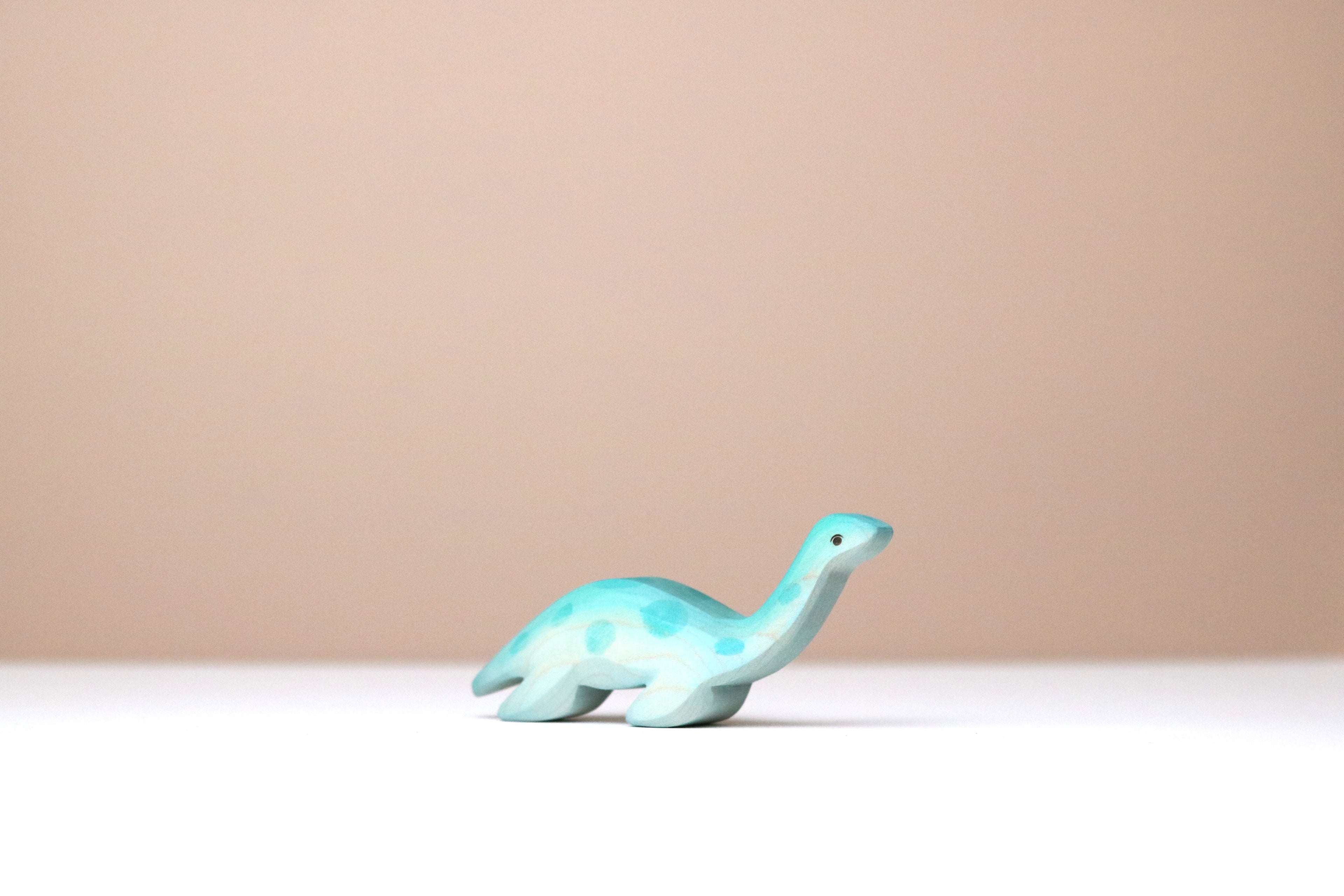 Plesiosaur Baby
