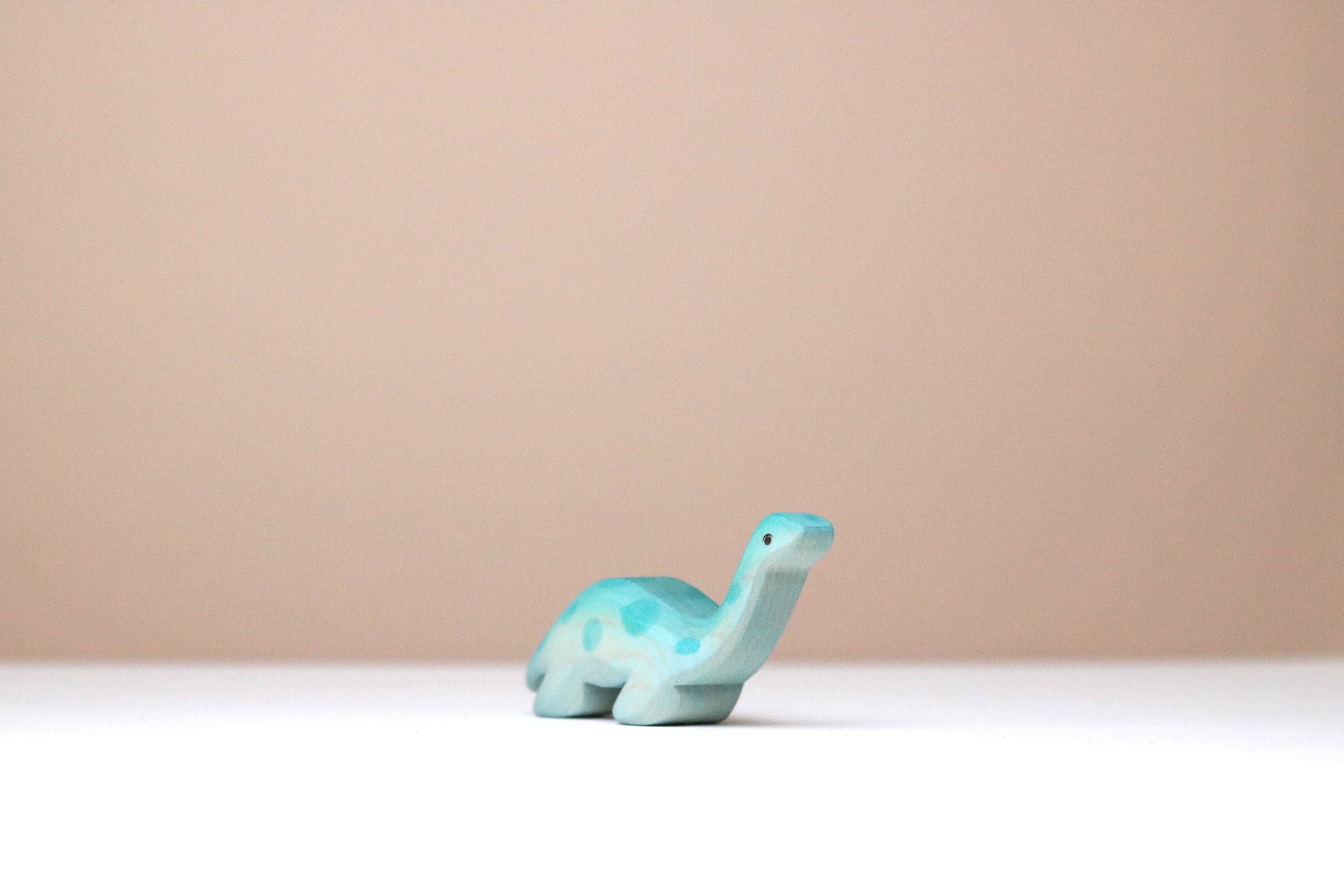 Plesiosaur Baby
