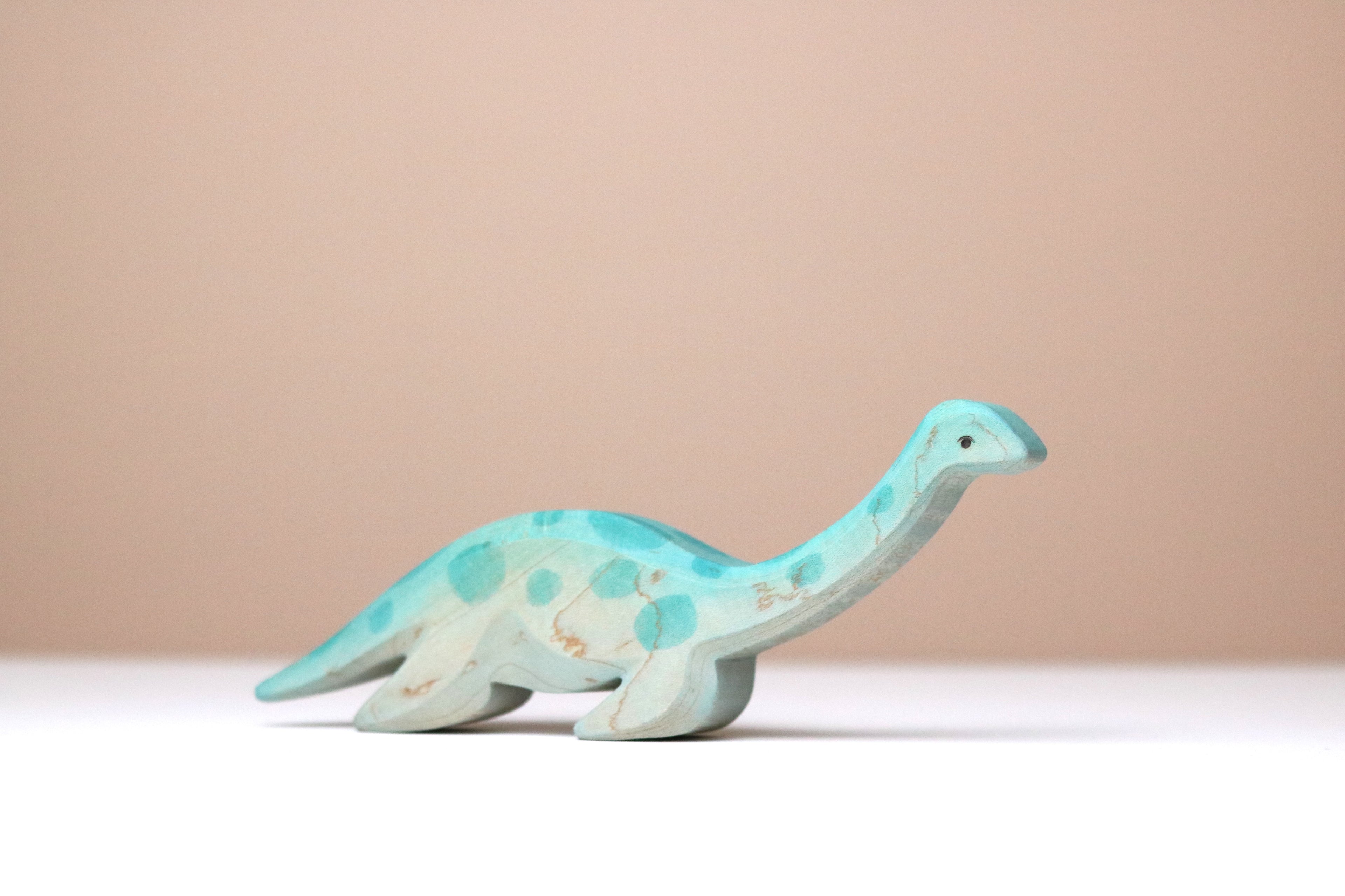 Plesiosaur