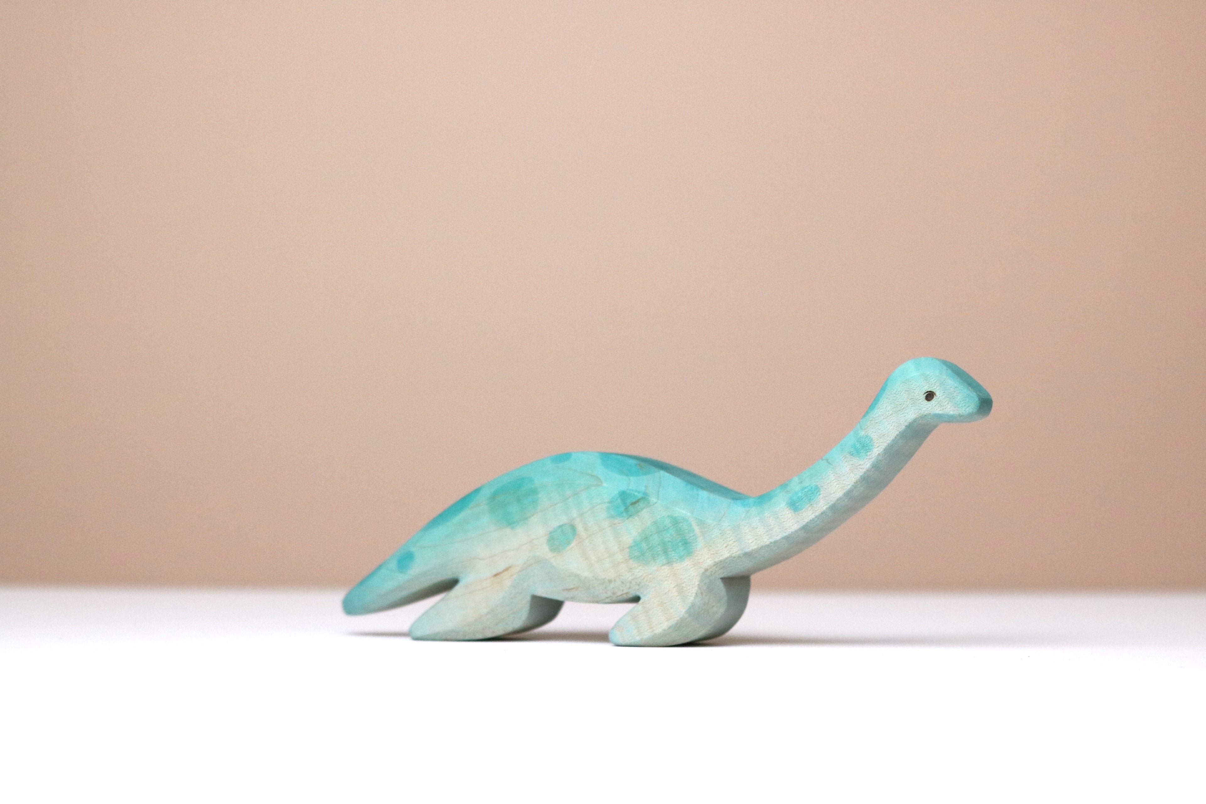 Plesiosaur