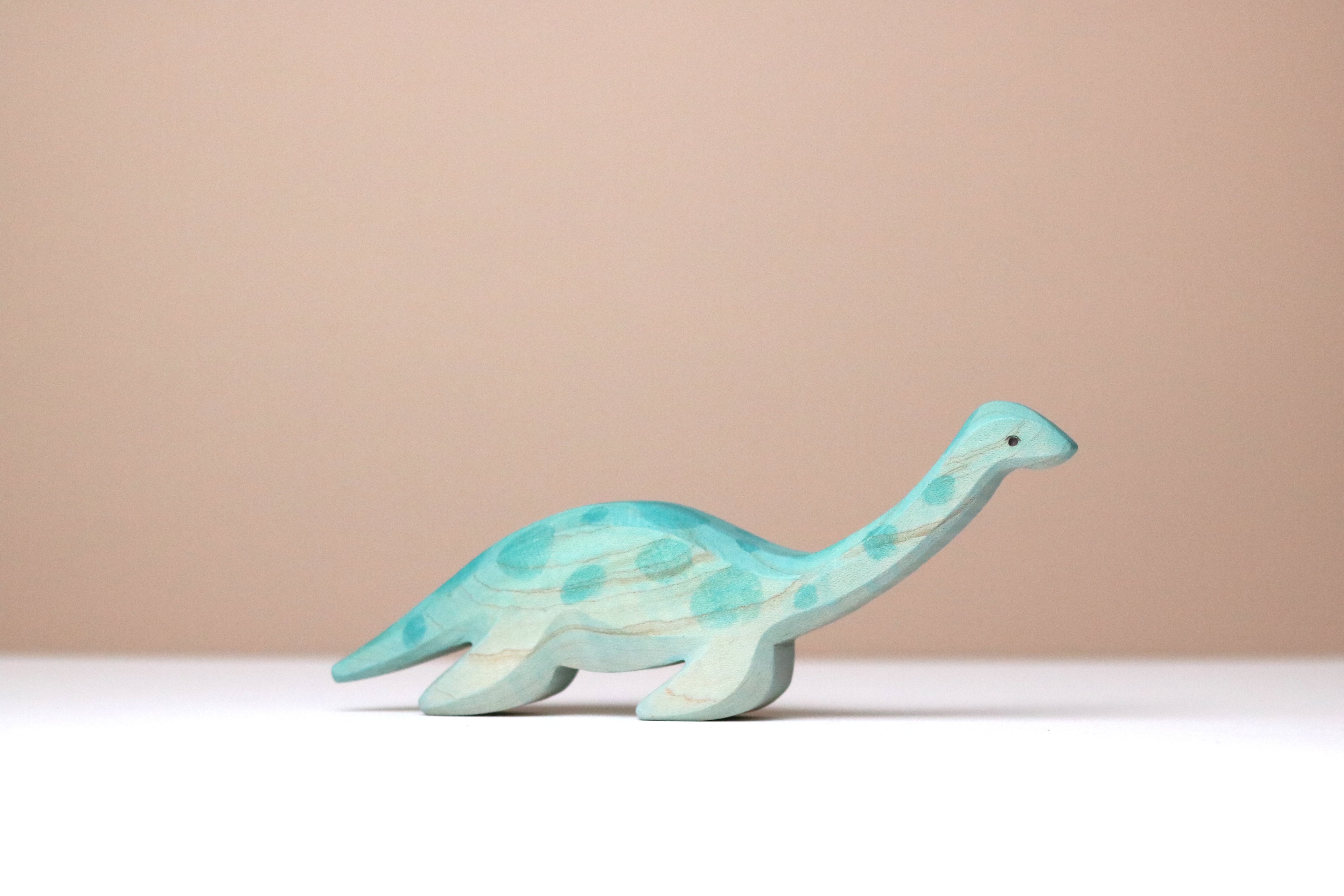 Plesiosaur