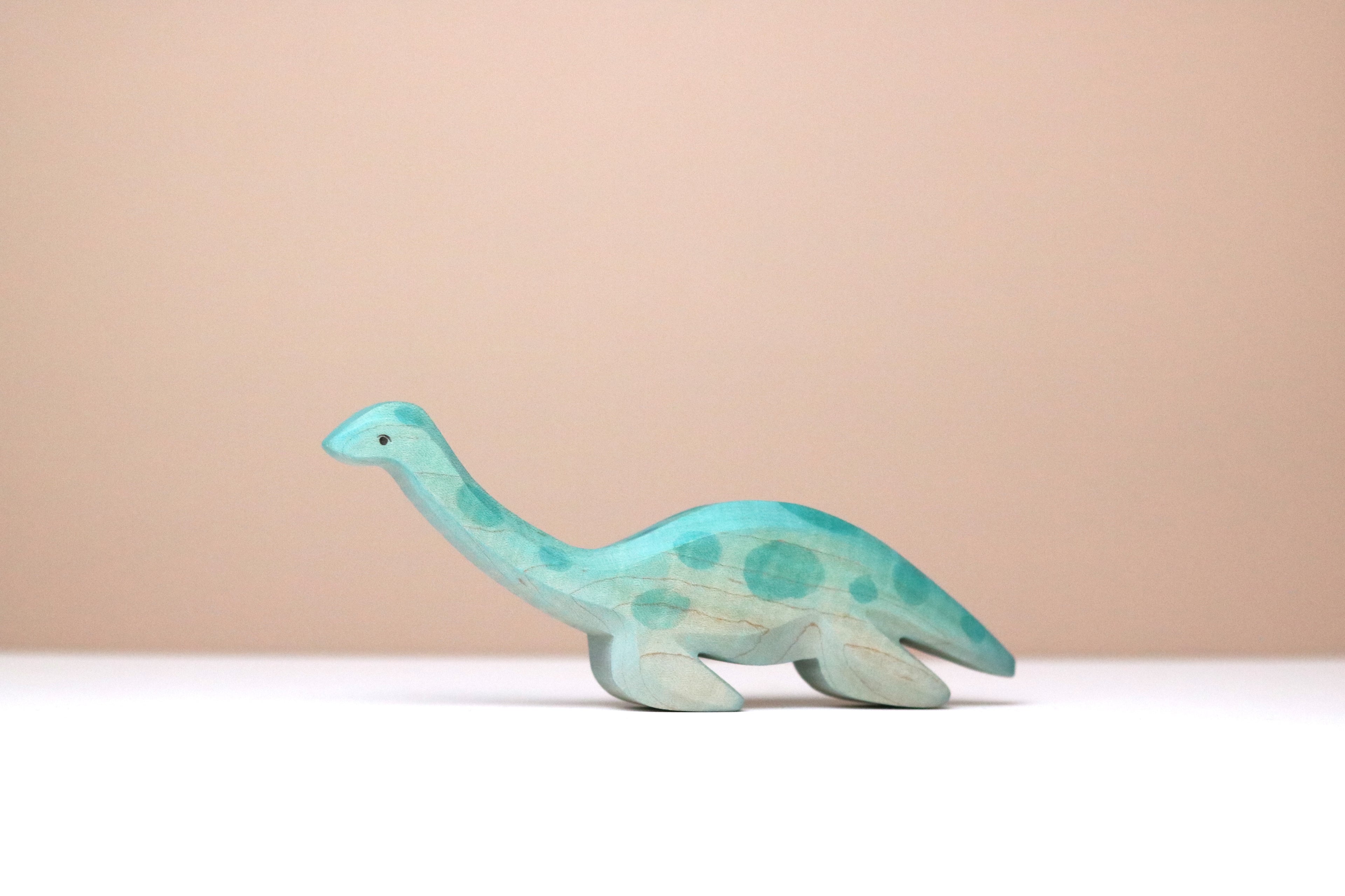 Plesiosaur