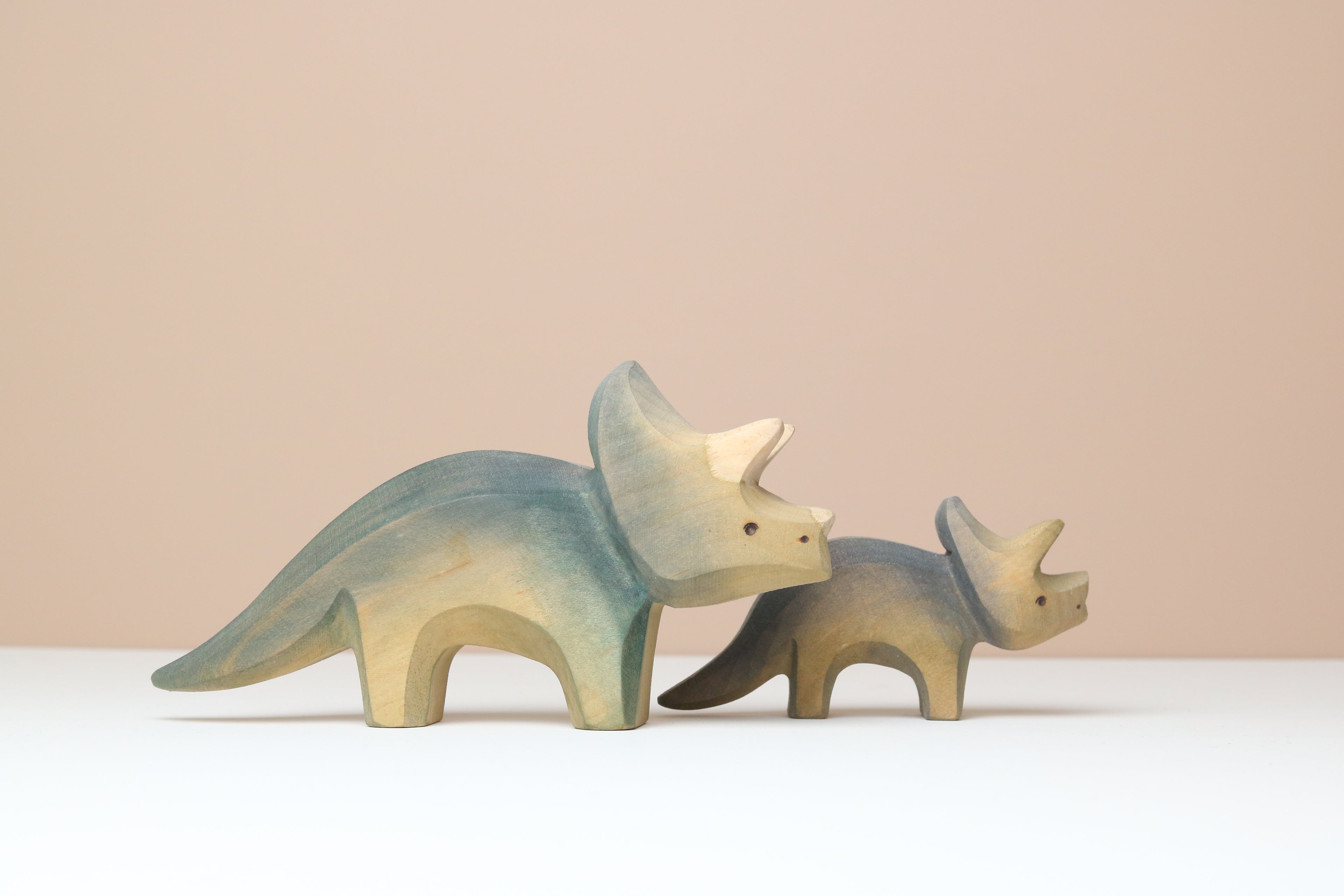 Triceratops Baby