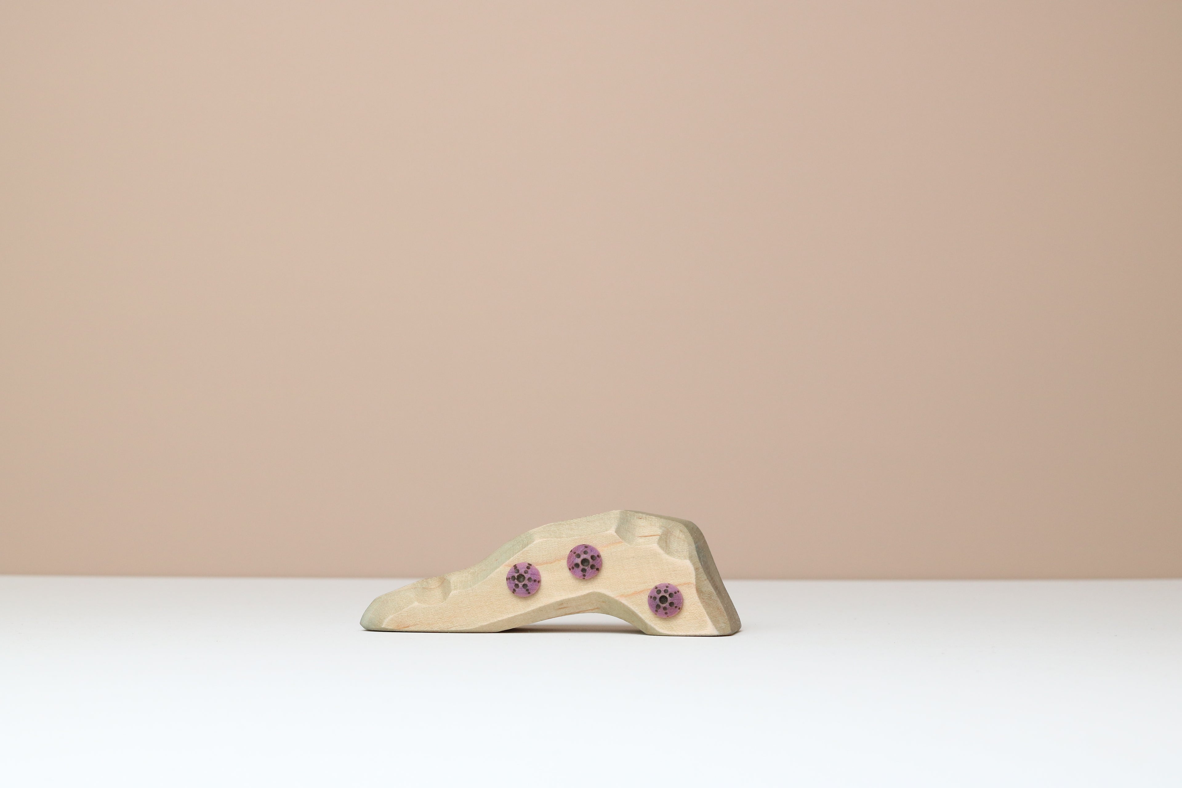 Small Ocean Rock