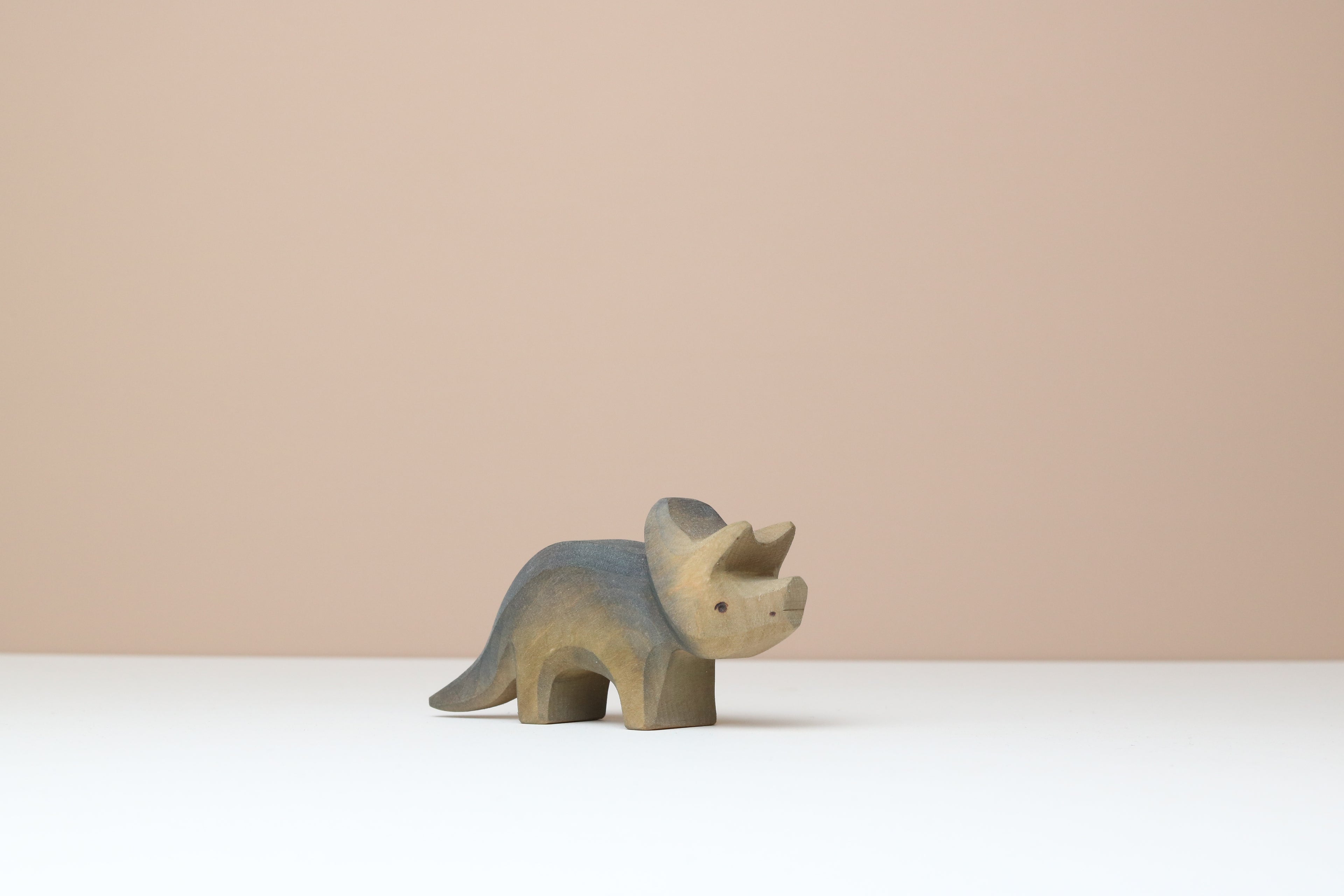 Triceratops Baby