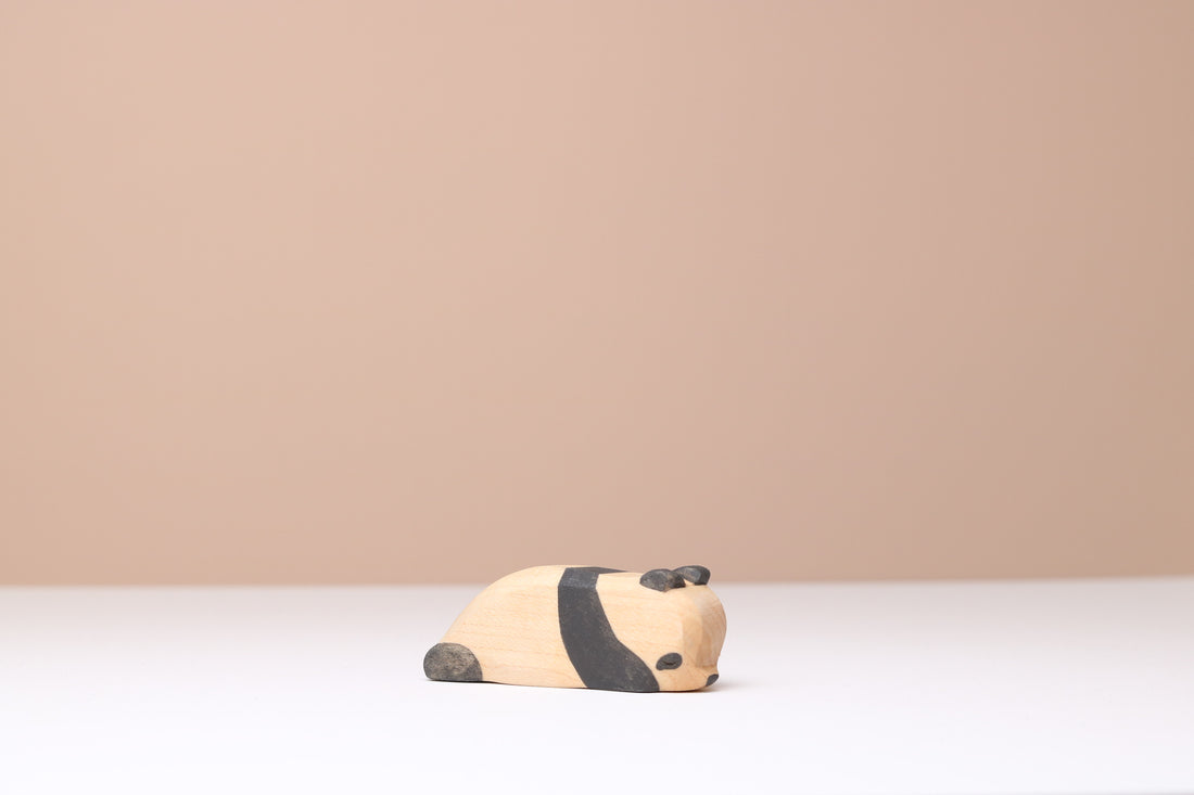 Baby Sleeping Panda