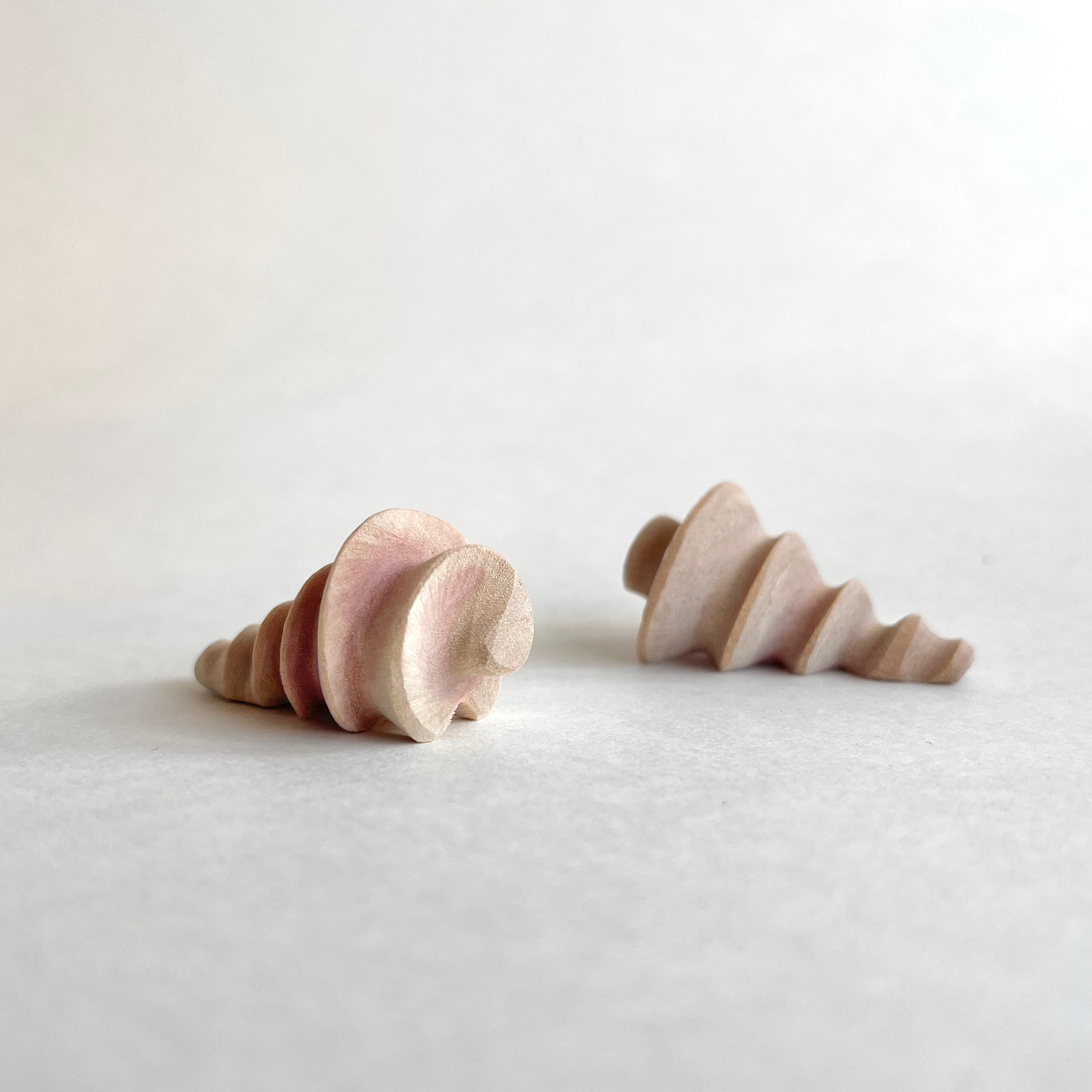 Conch Shell