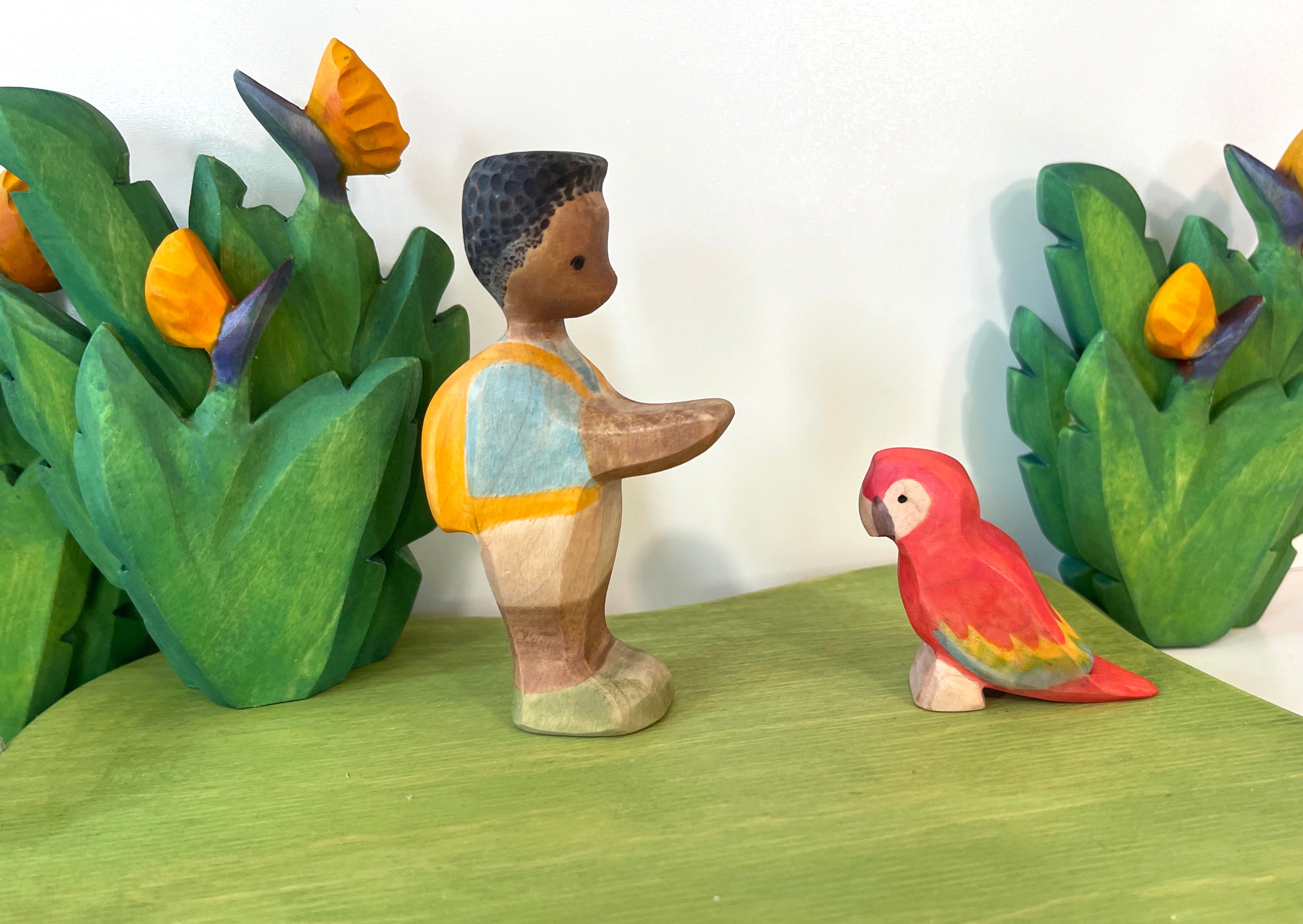 Parrot