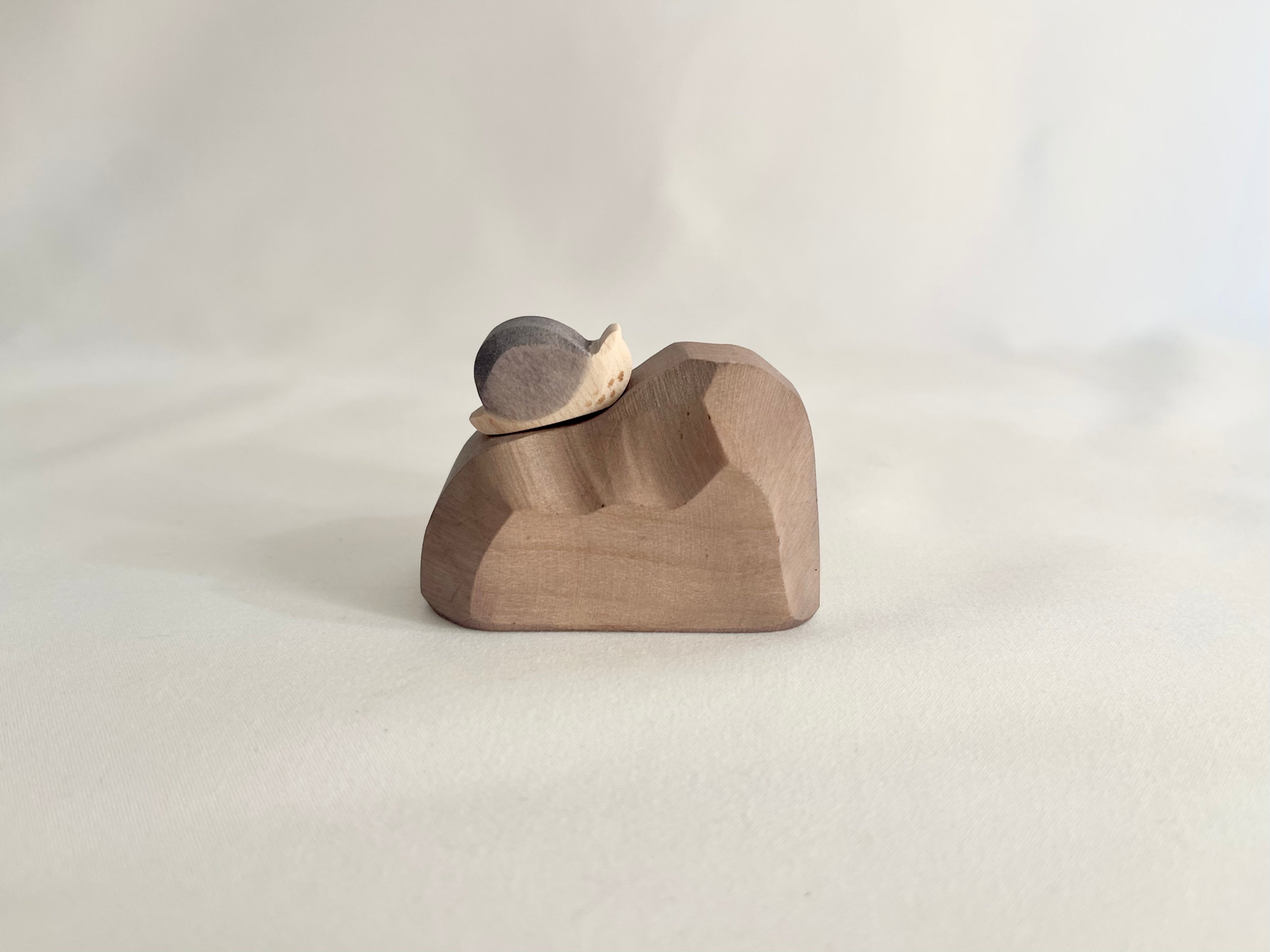 Snail