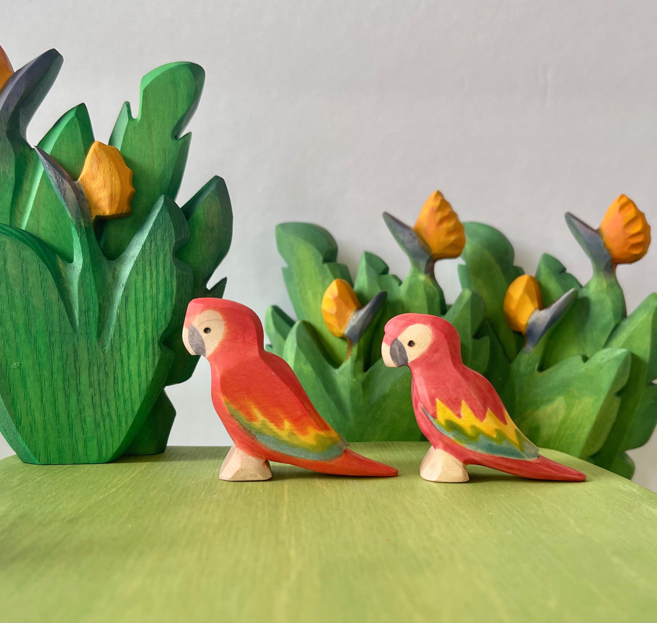 Parrot