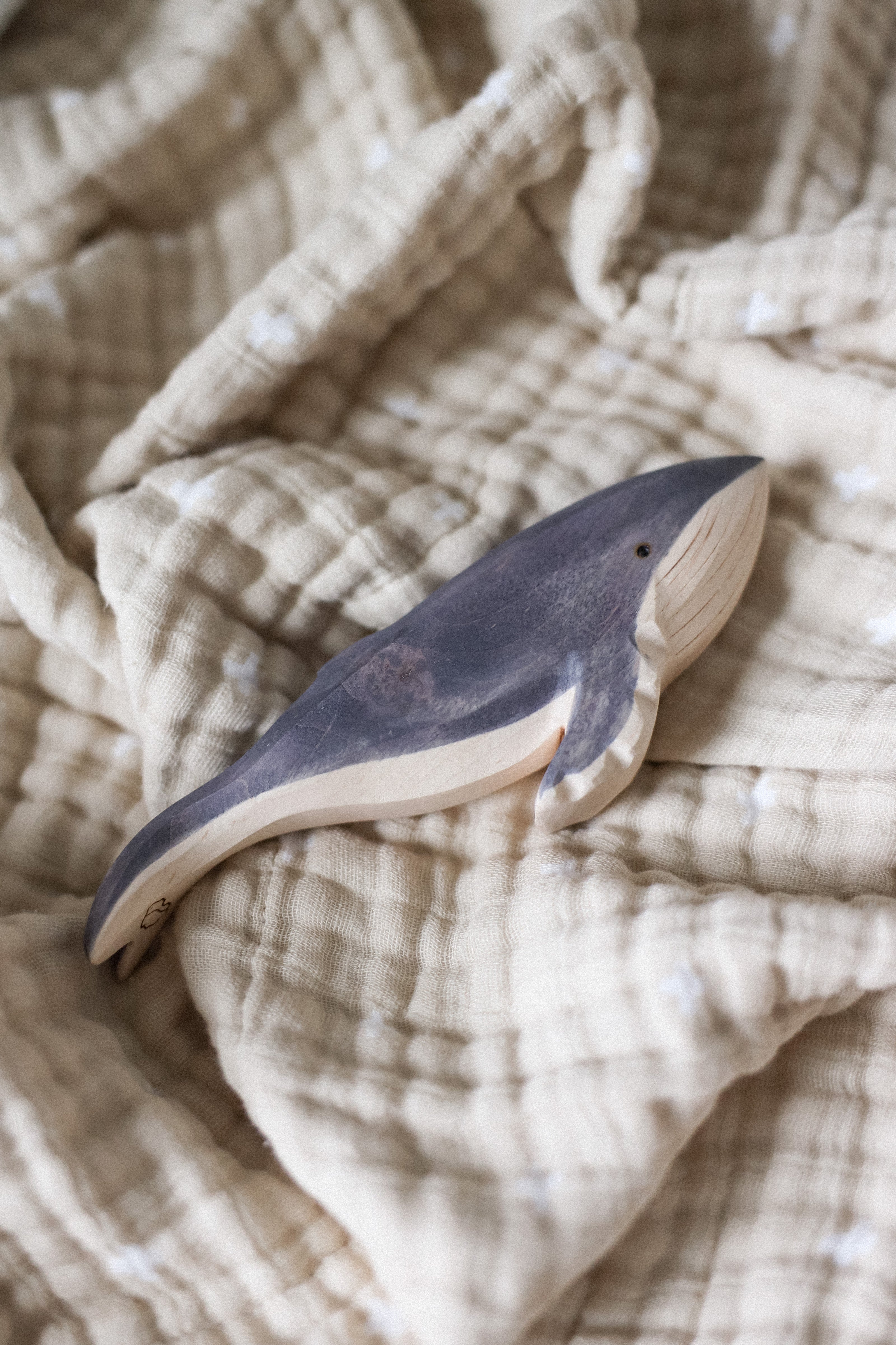Humpback Whale