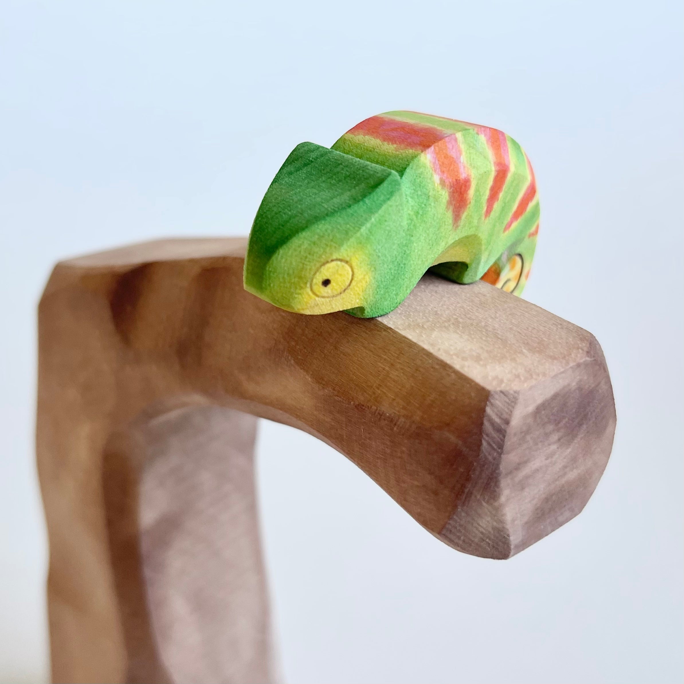 Chameleon