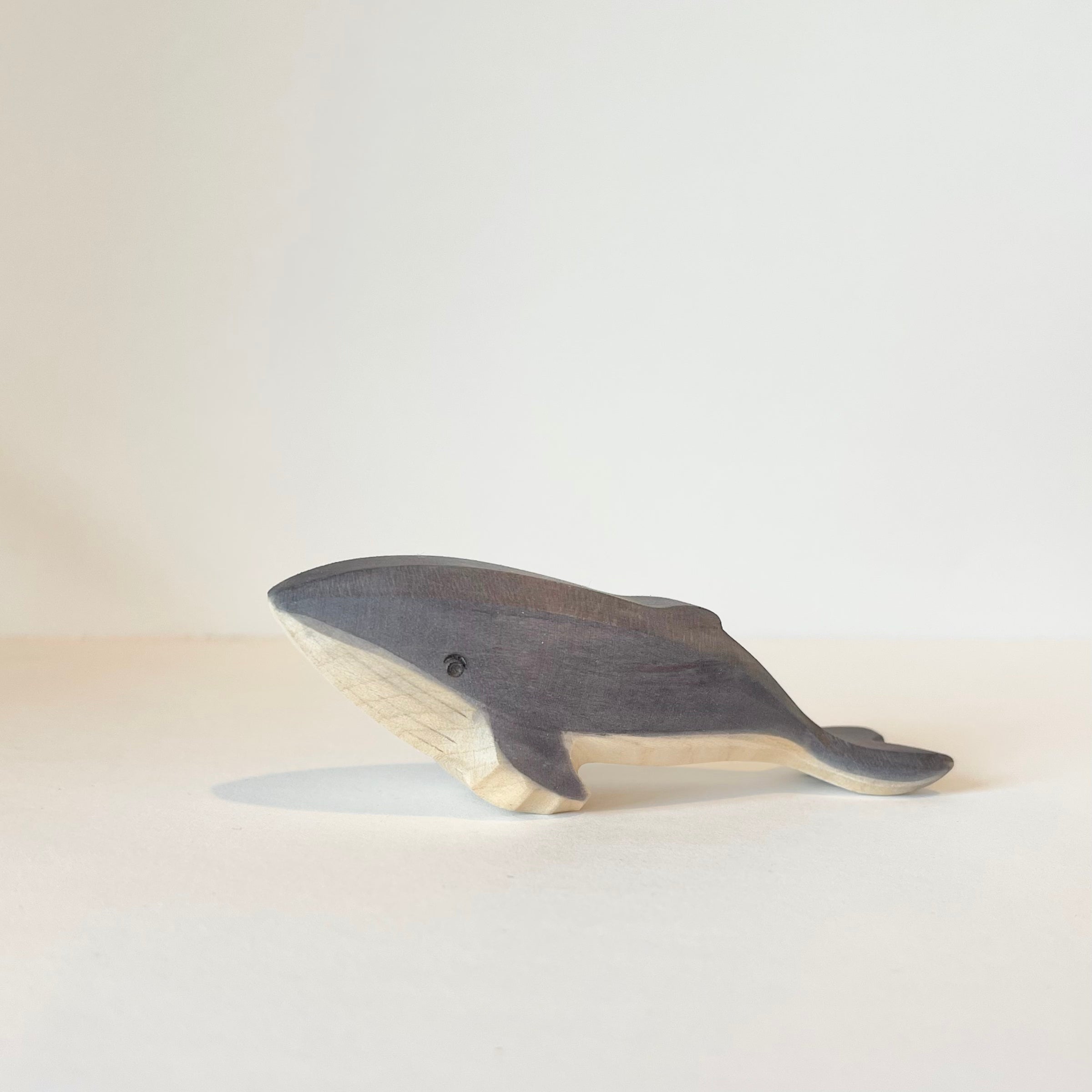 Humpback Whale Baby