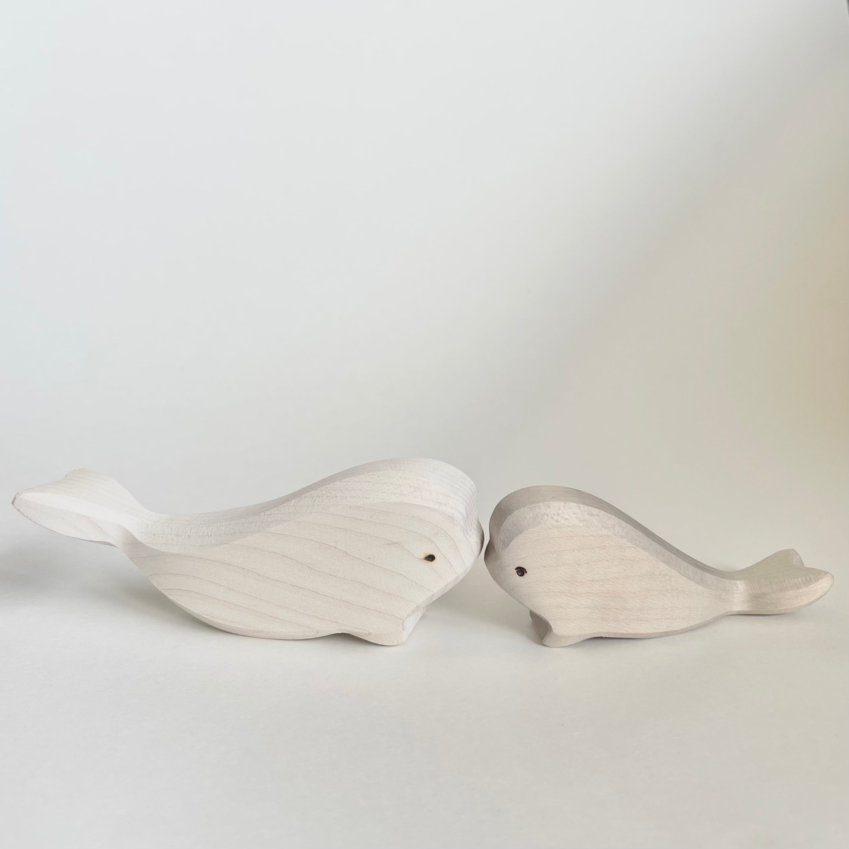 Beluga Set