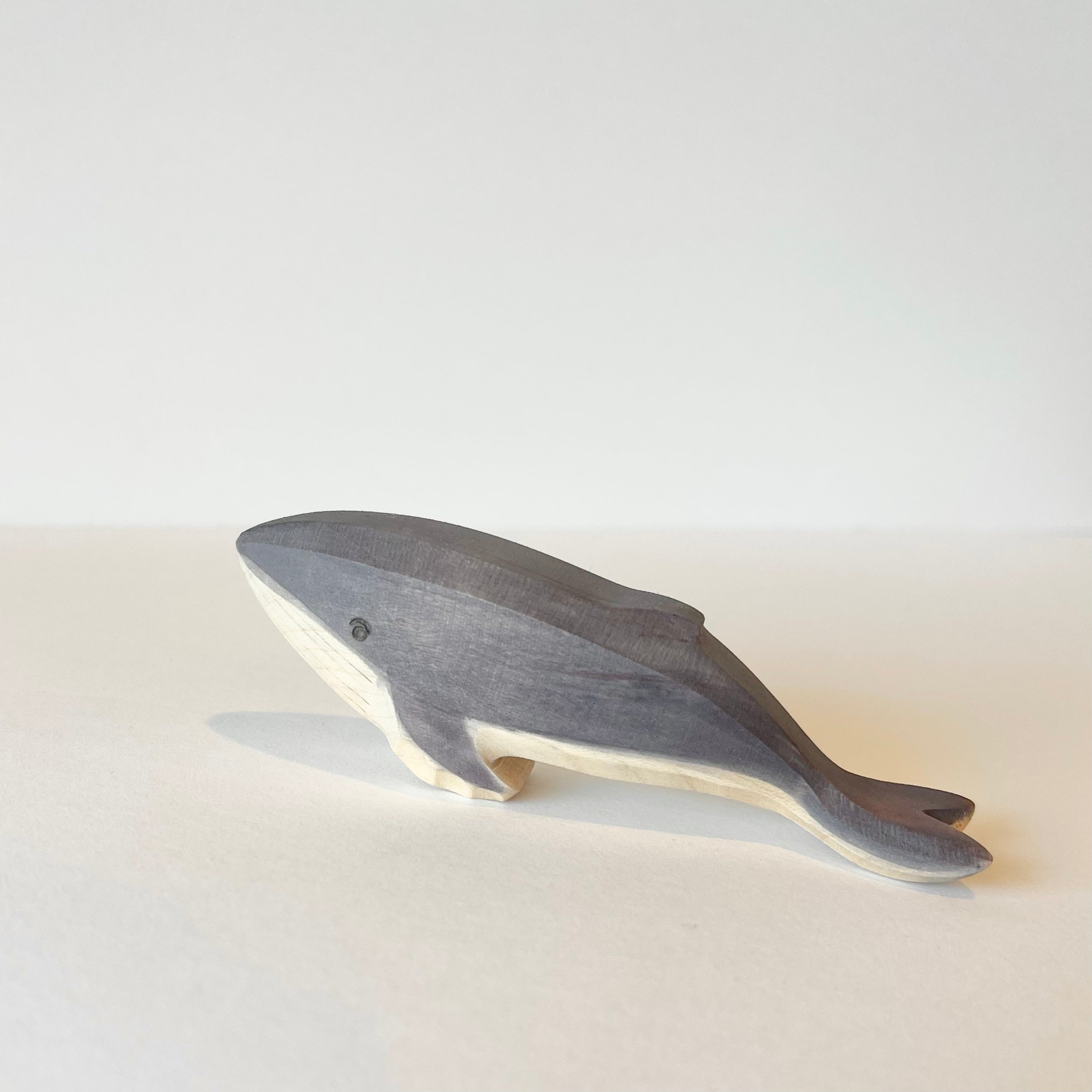 Humpback Whale Baby