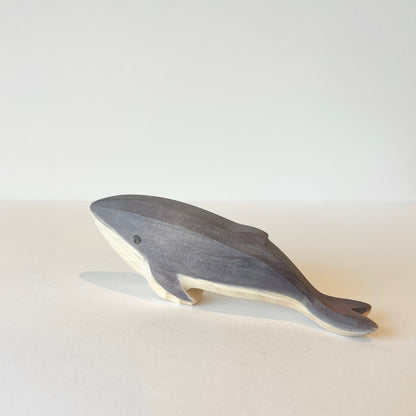 Humpback Whale Baby