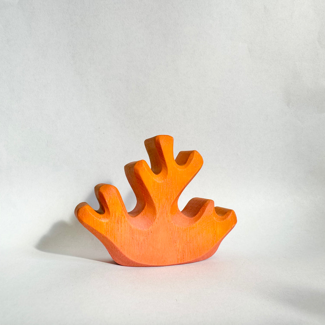 Orange Coral