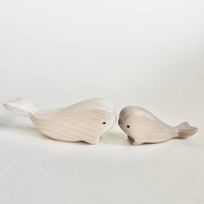 Beluga Set