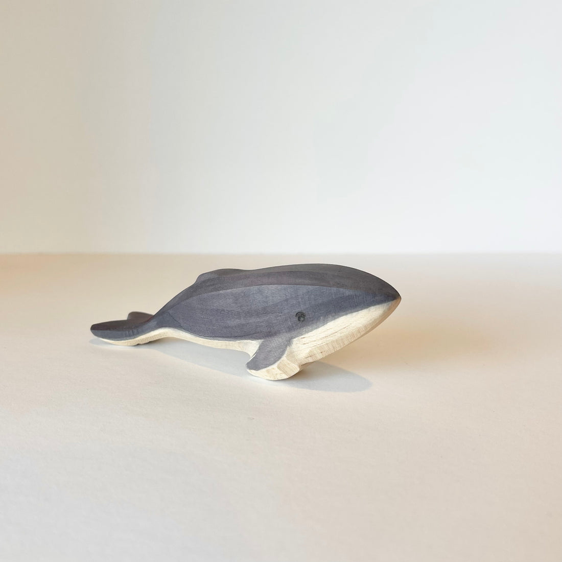 Humpback Whale Baby