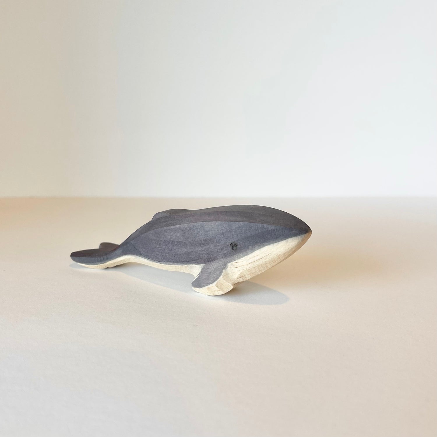 Humpback Whale Baby