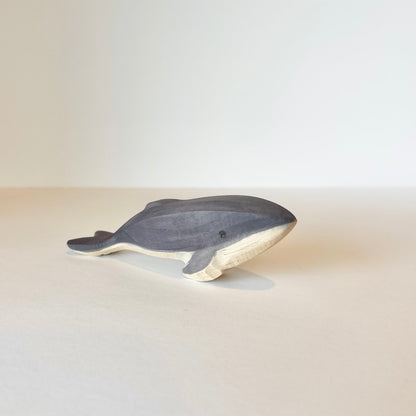 Humpback Whale Baby