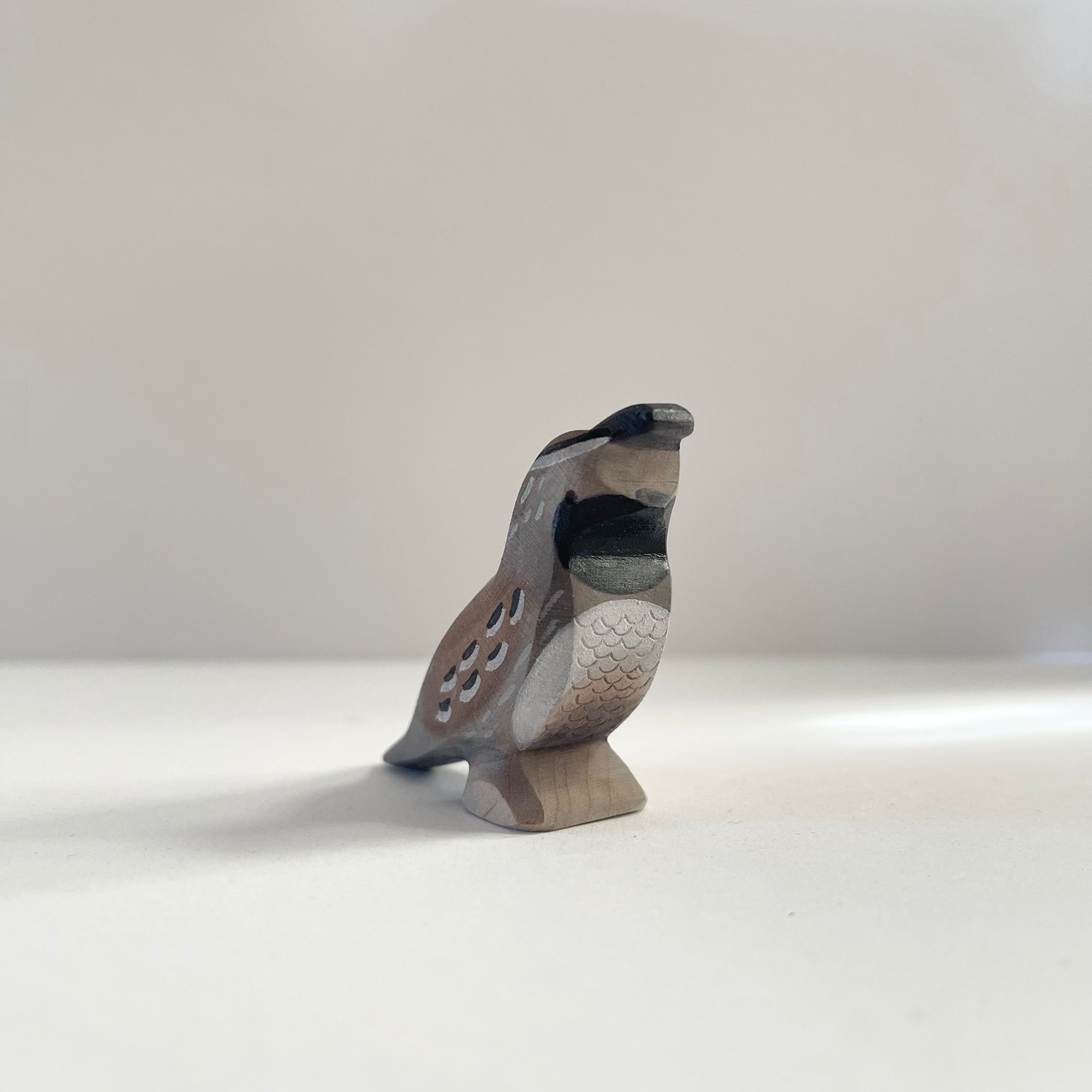 Quail