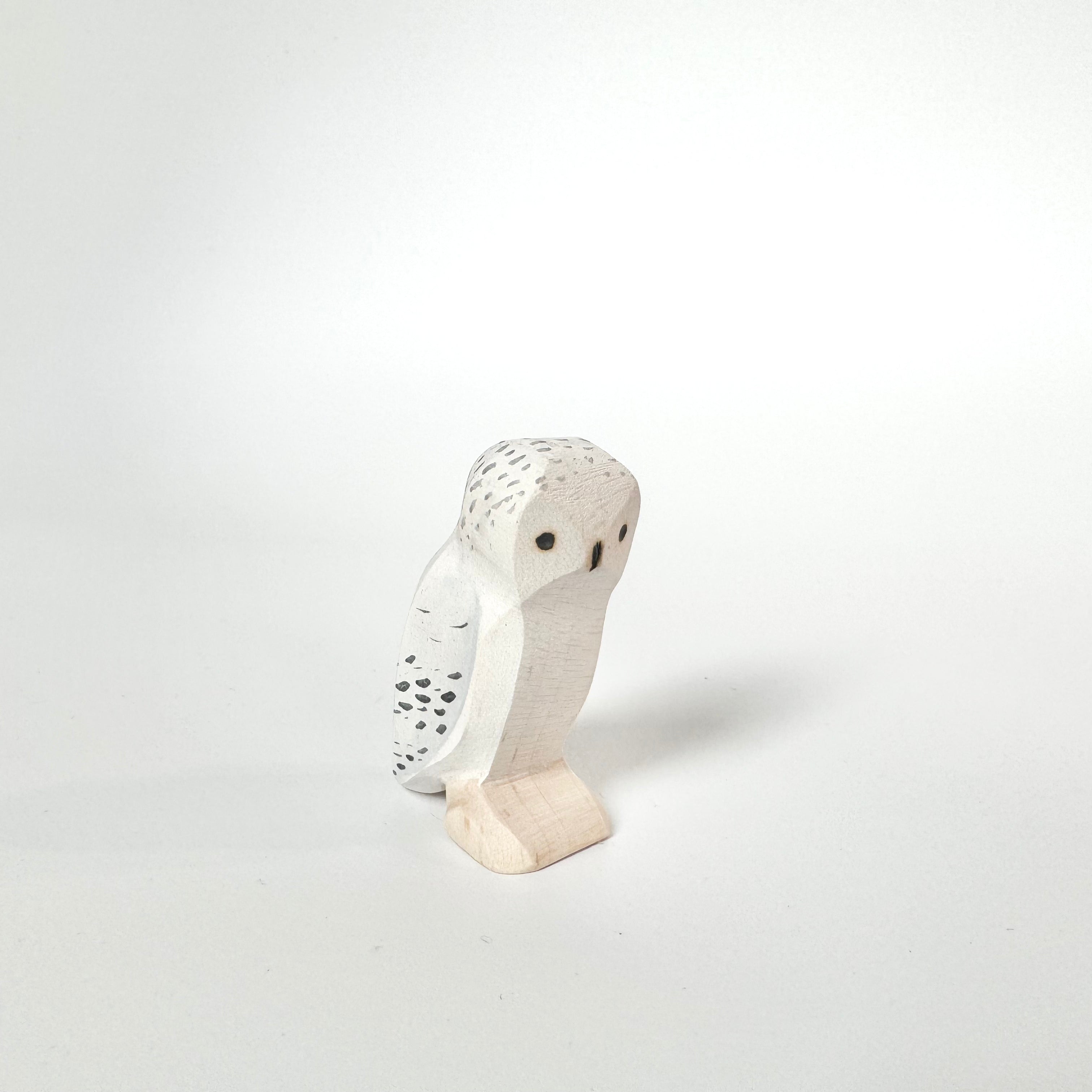 Snow Owl