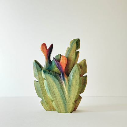 Bird of Paradise