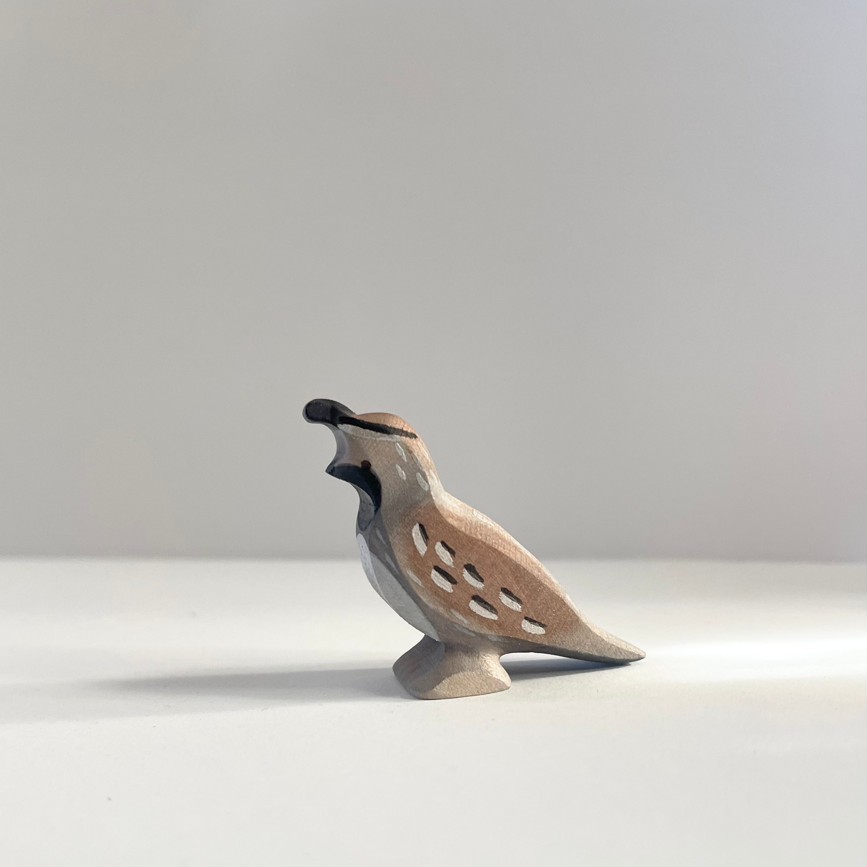 Quail