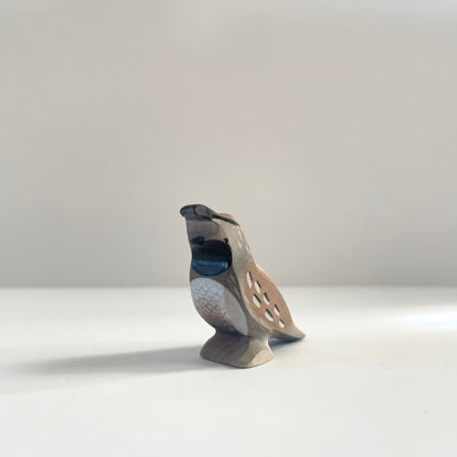 Quail