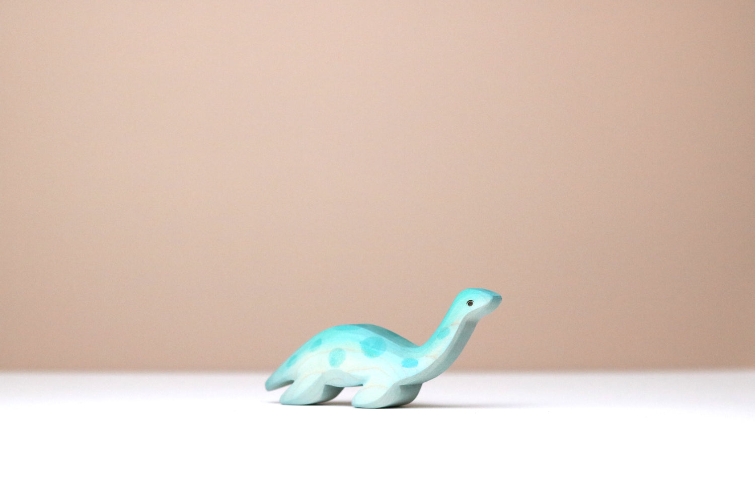Plesiosaur Baby