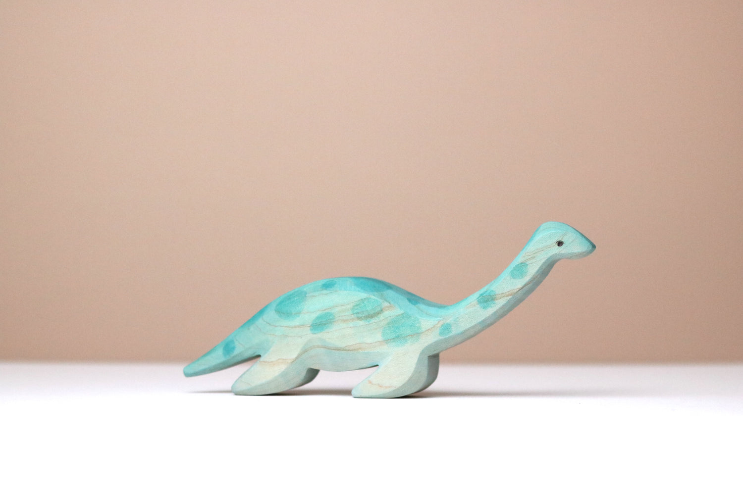Plesiosaur