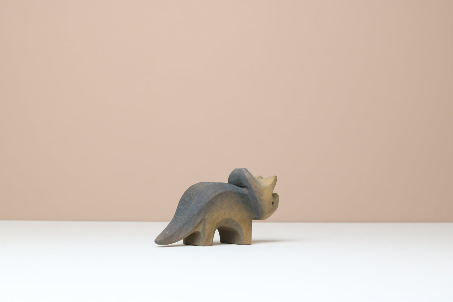 Triceratops Baby