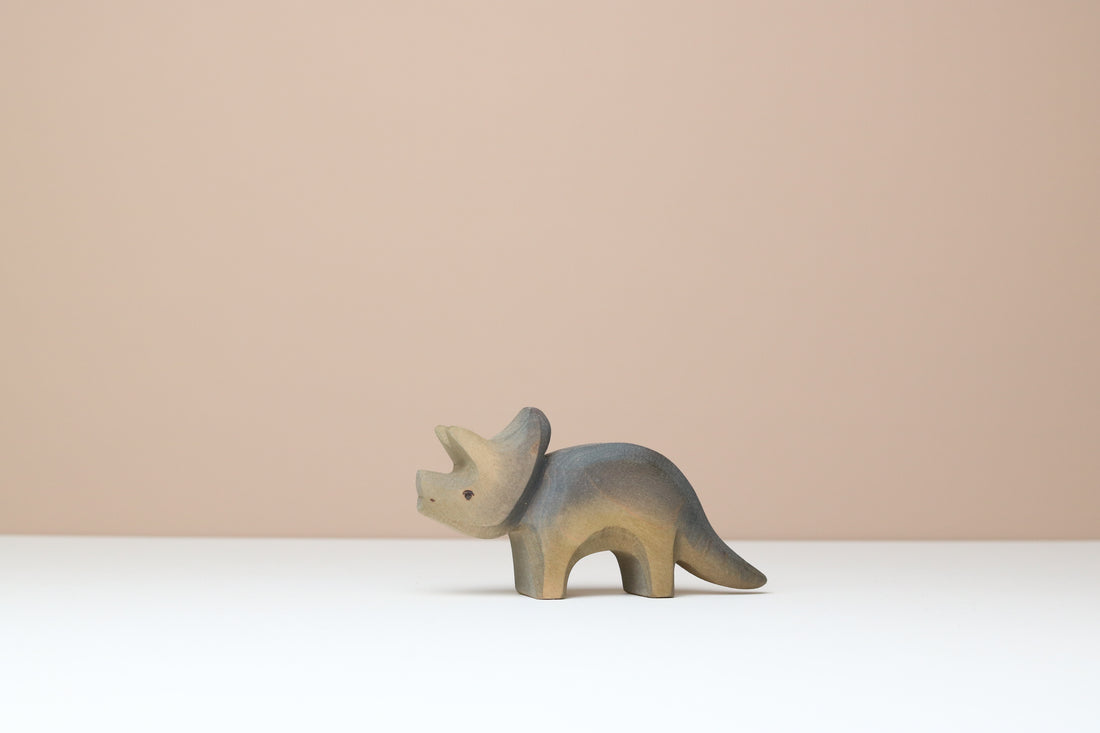 Triceratops Baby