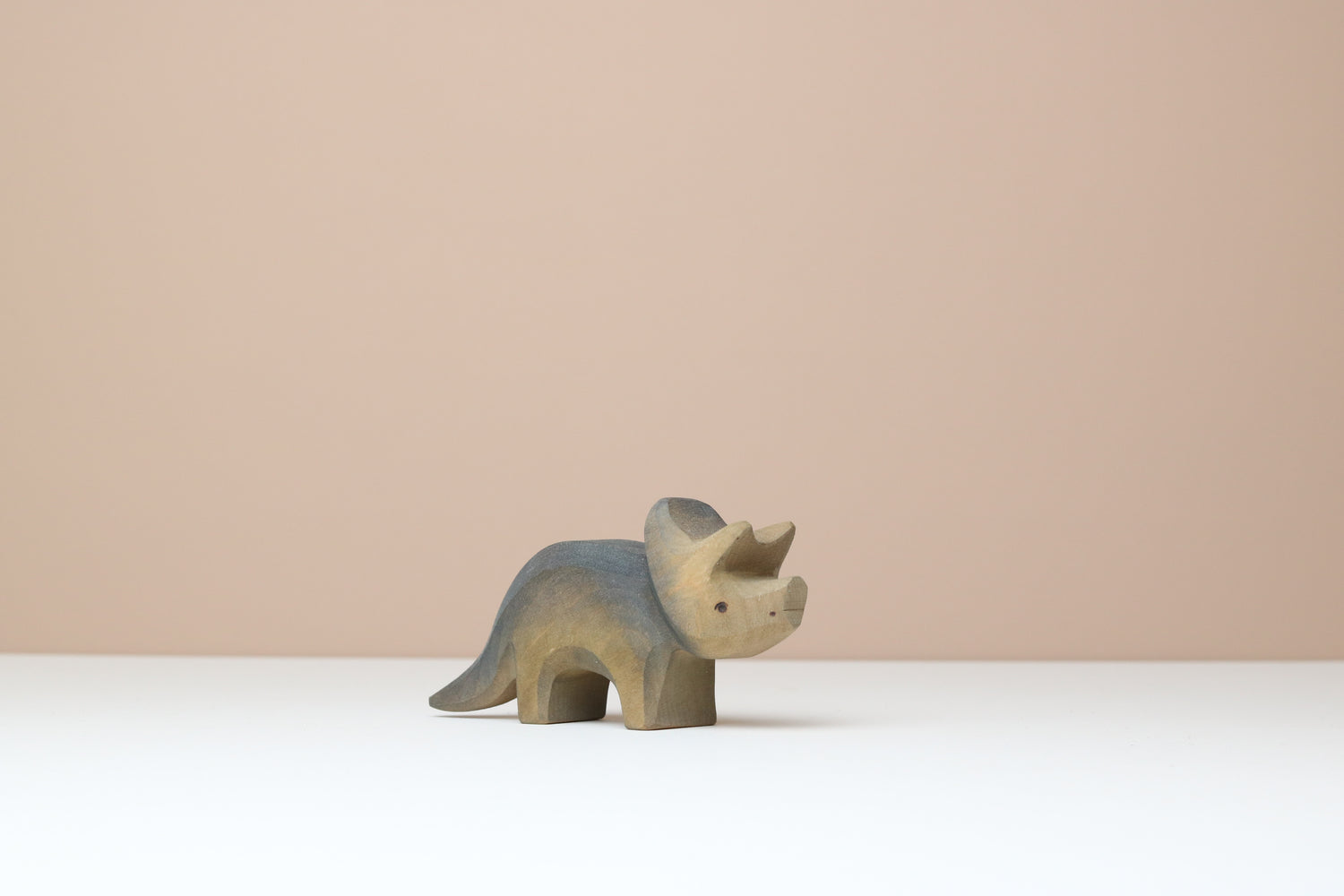 Triceratops Baby