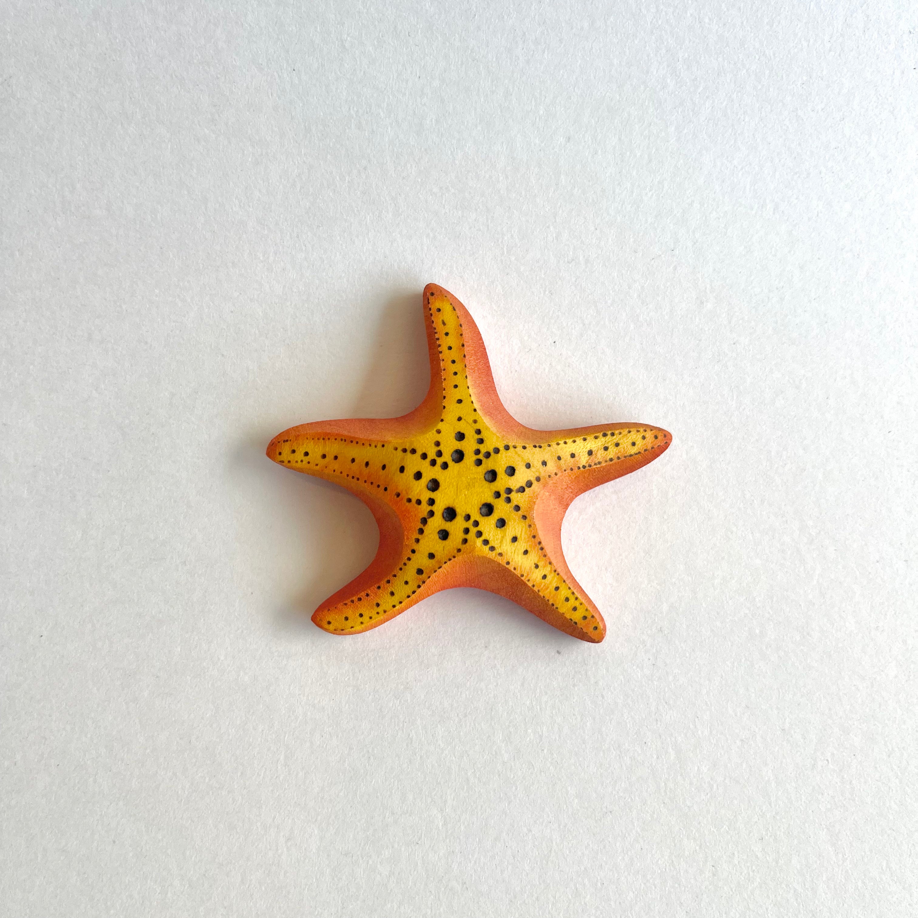 Big Starfish