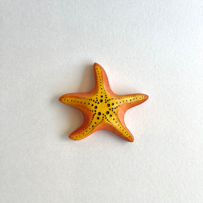 Big Starfish