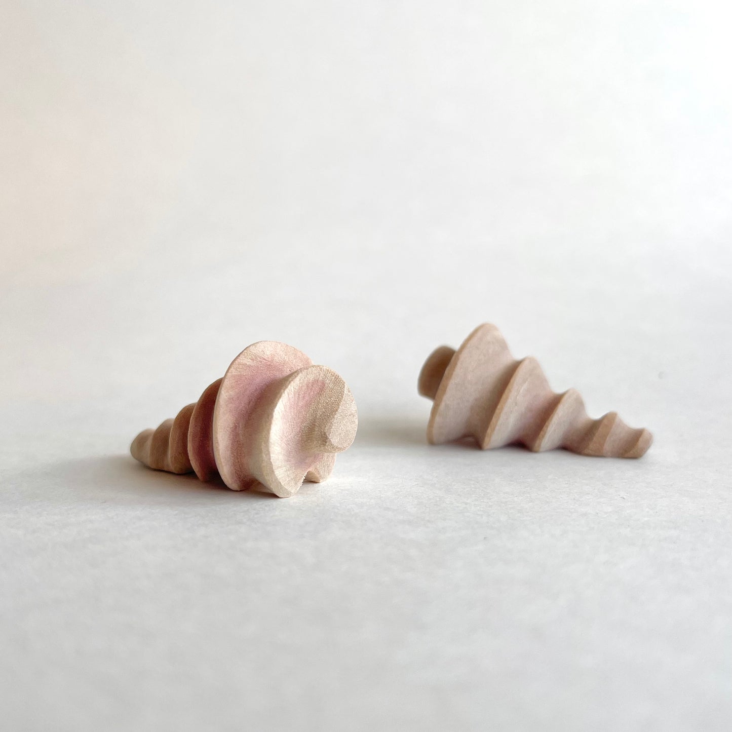 Conch Shell