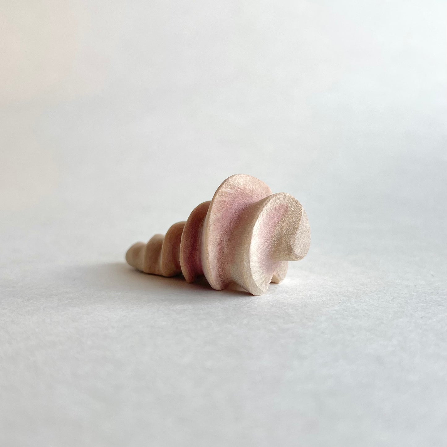 Conch Shell