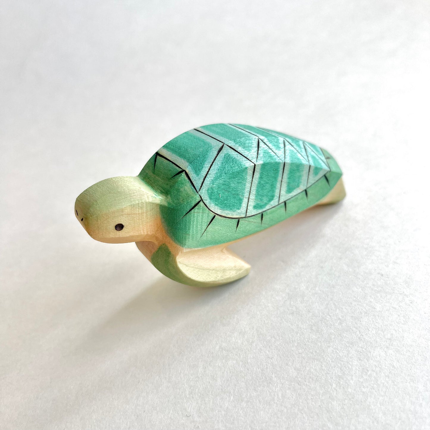 Big Sea Turtle